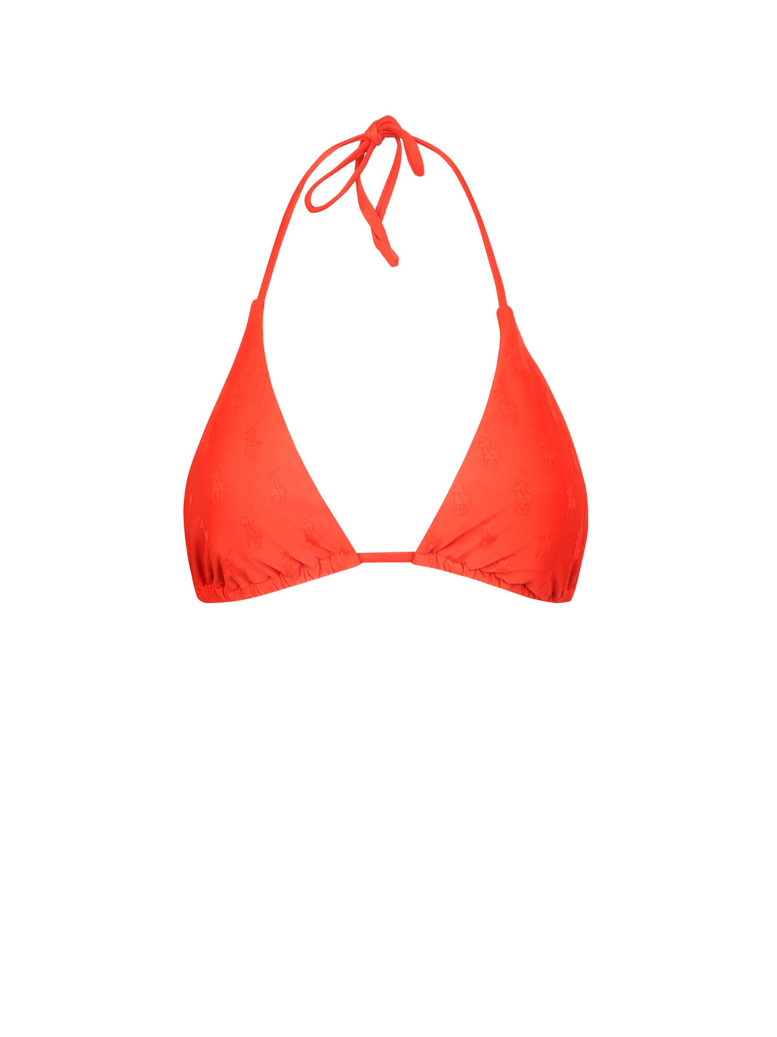 Immagine diapositiva