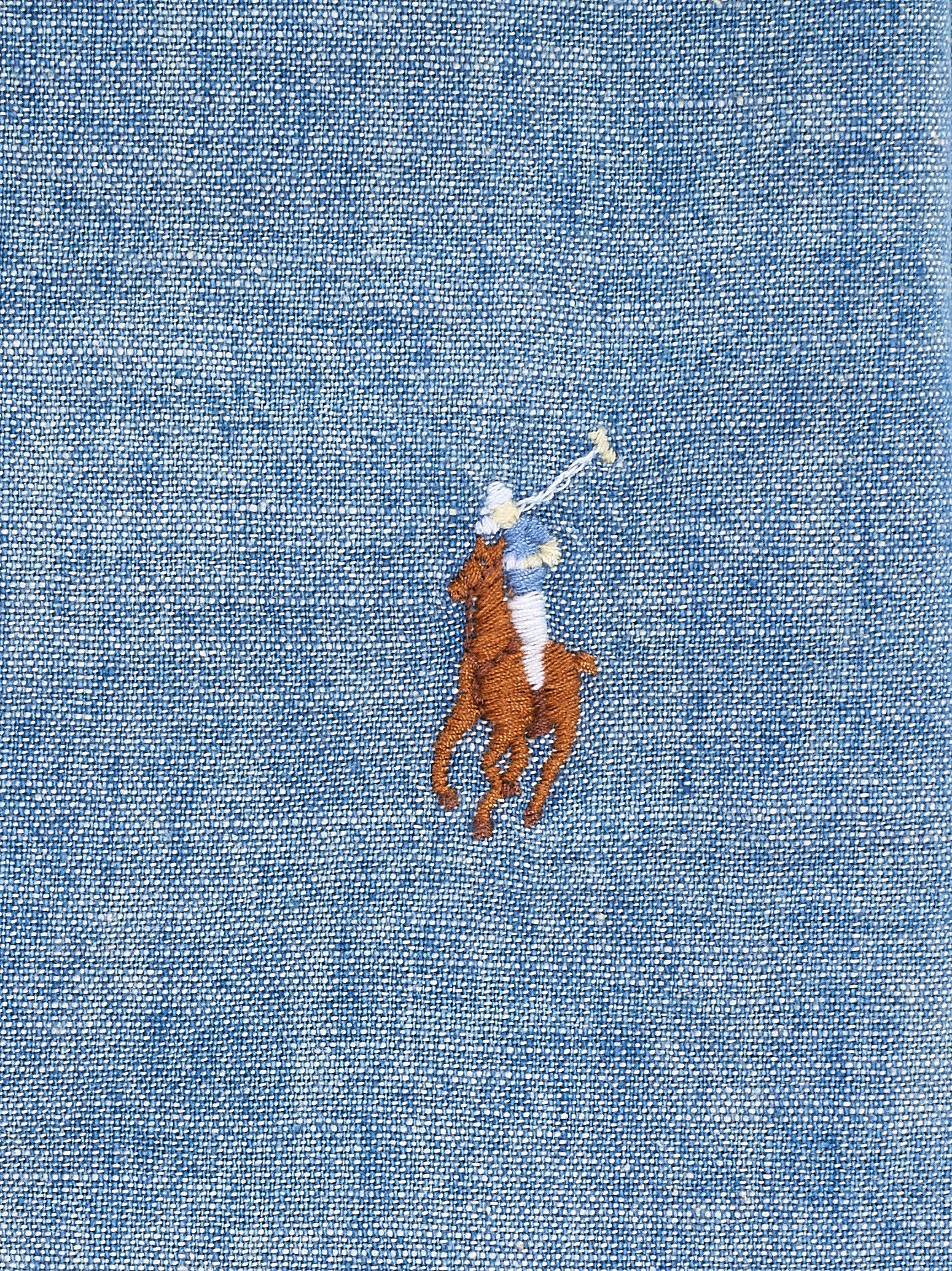 Immagine diapositiva