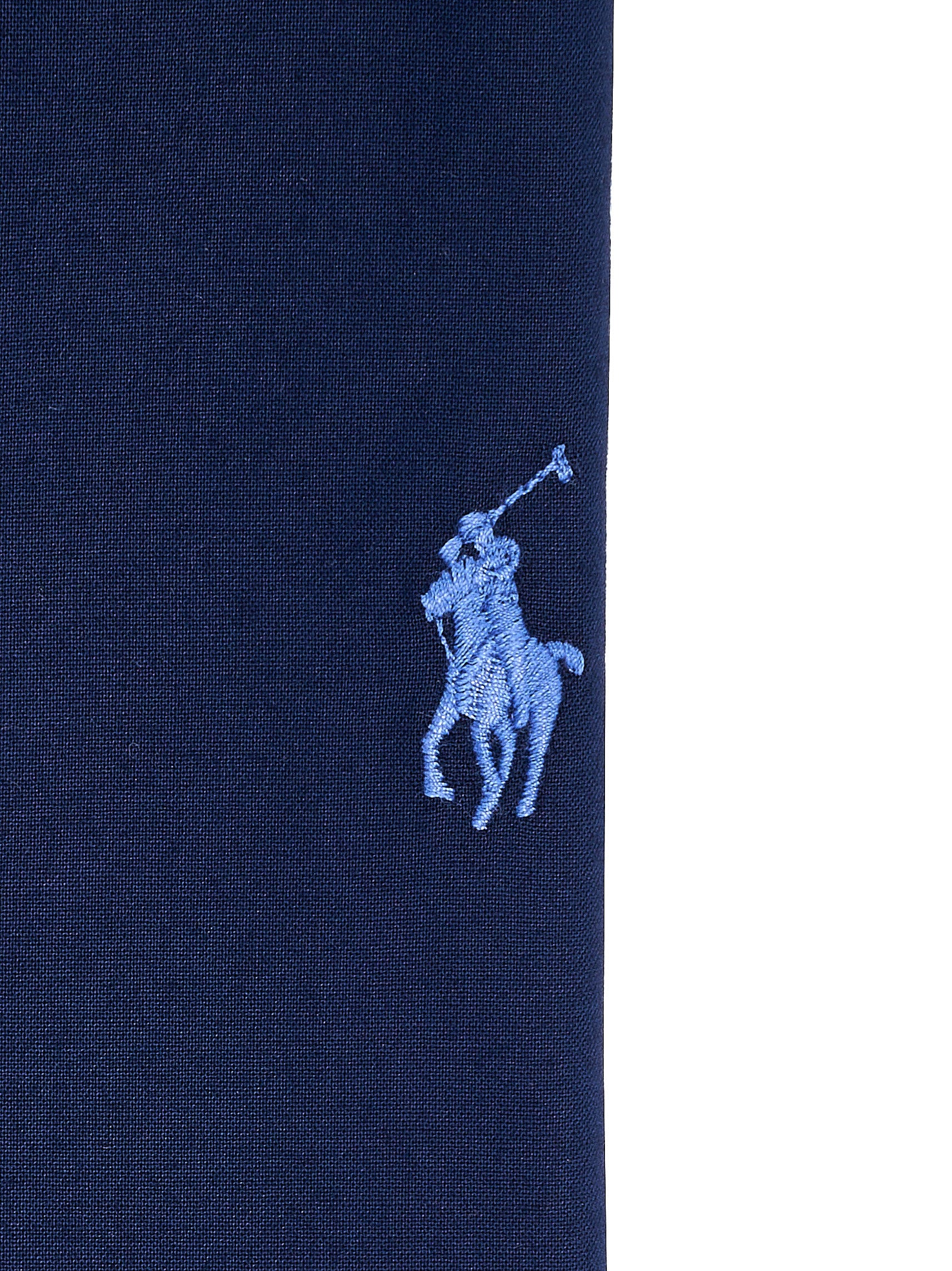 Immagine diapositiva