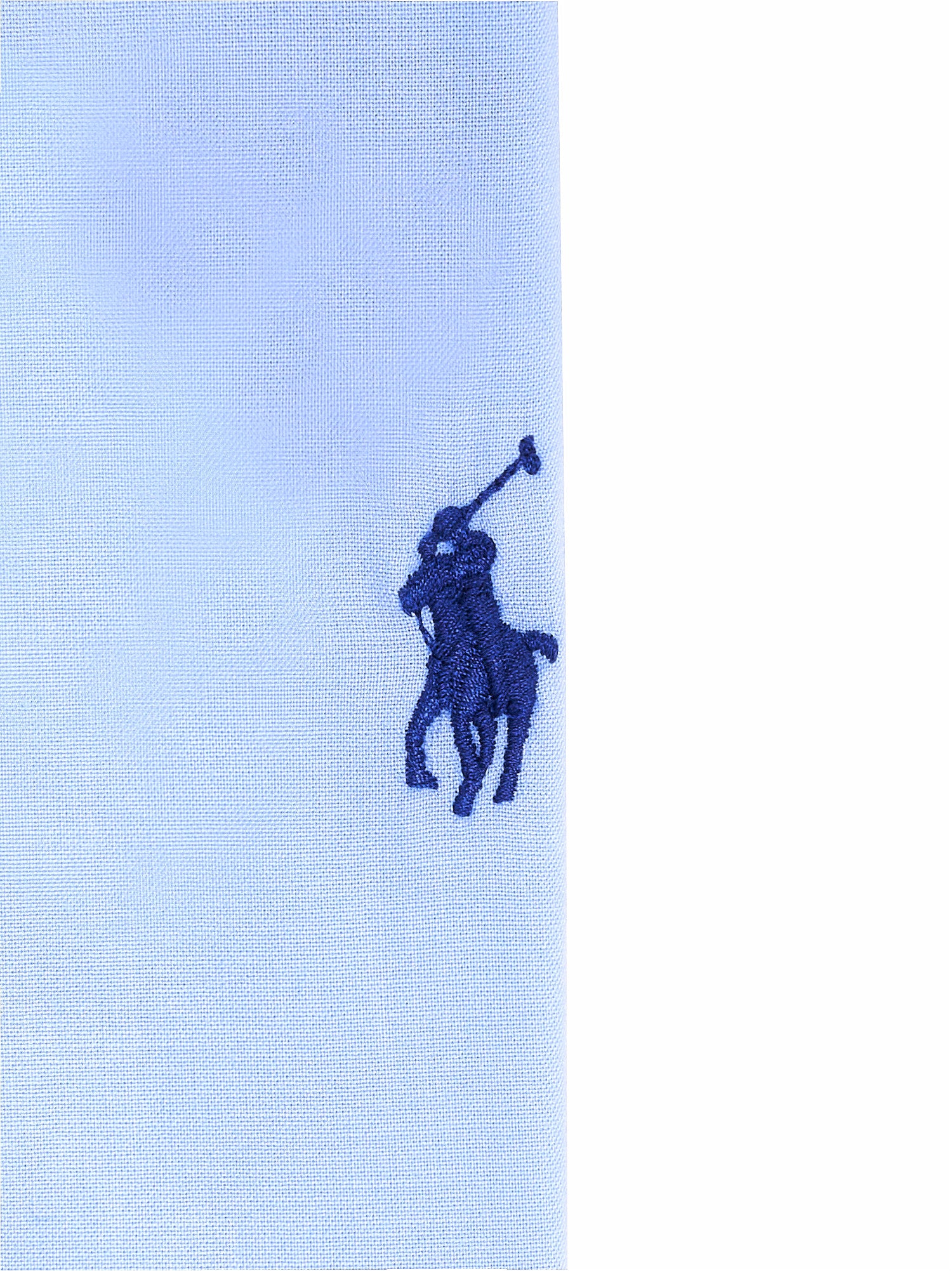 Immagine diapositiva