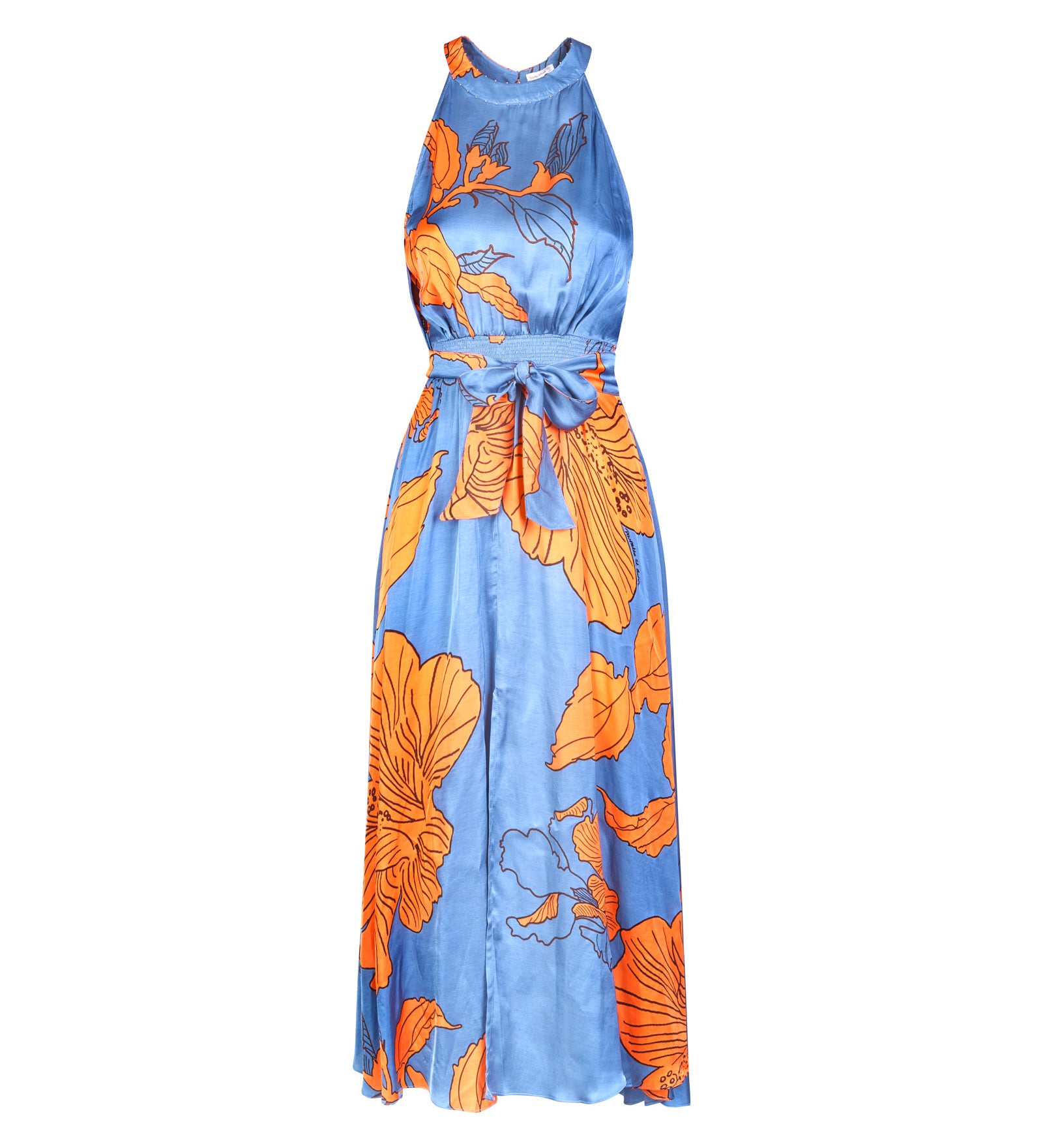 Immagine diapositiva