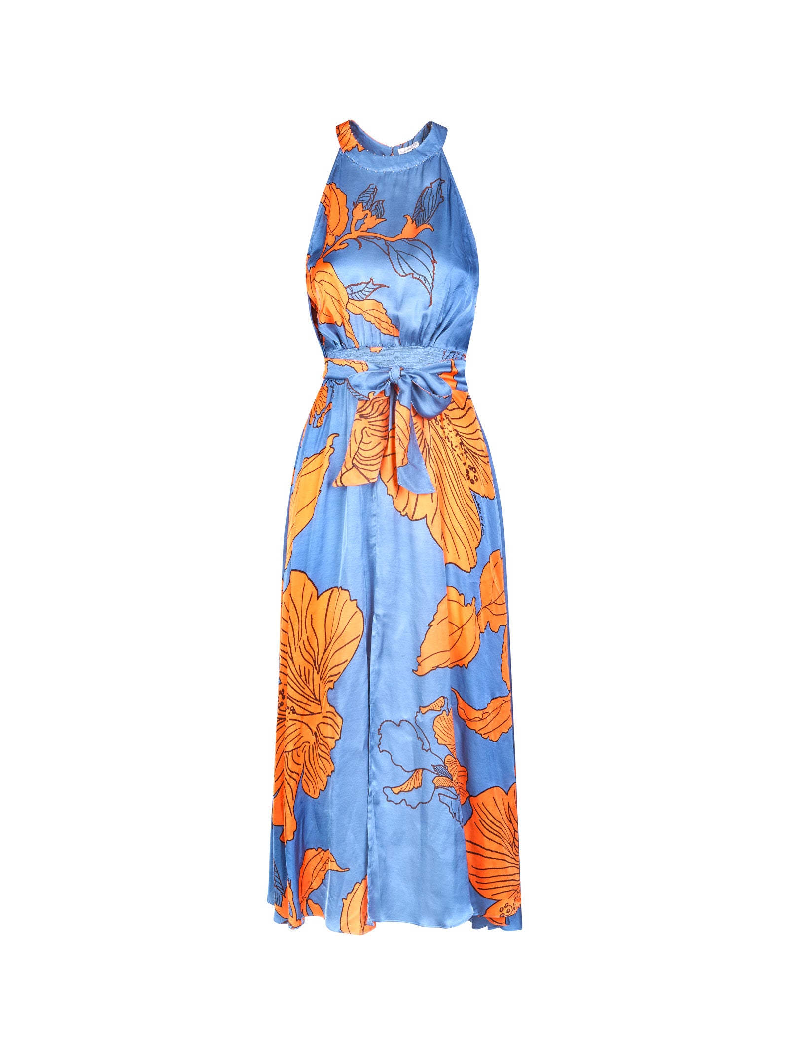 Immagine diapositiva