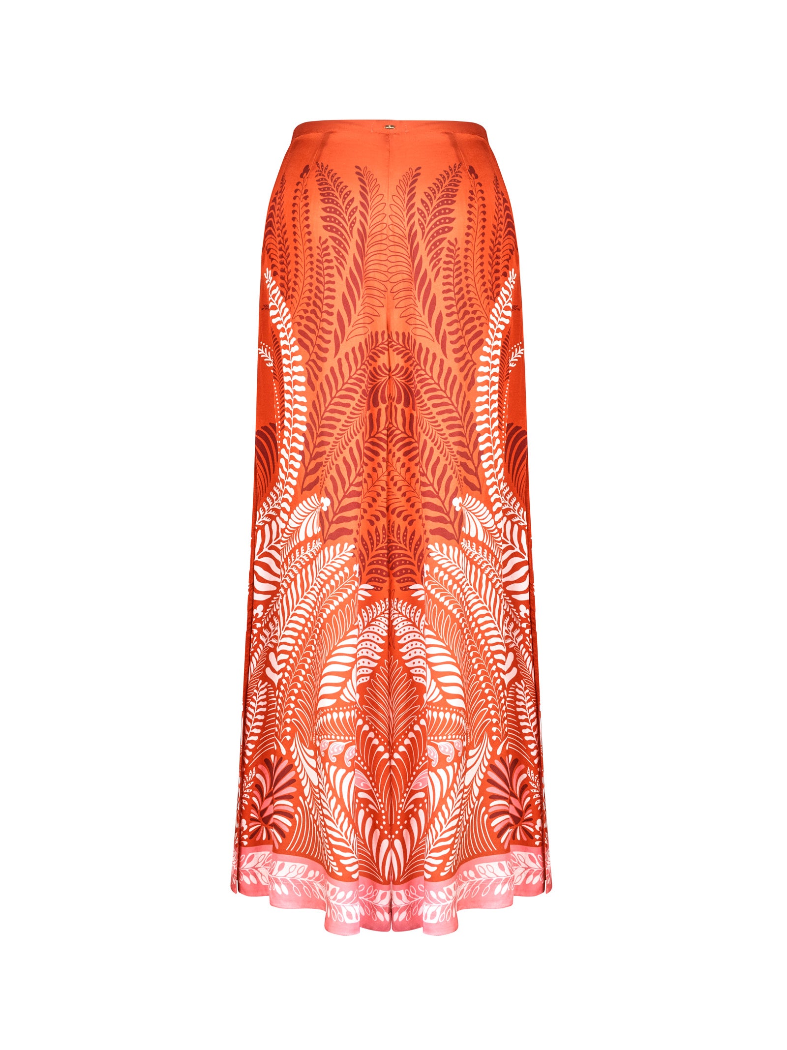 Immagine diapositiva