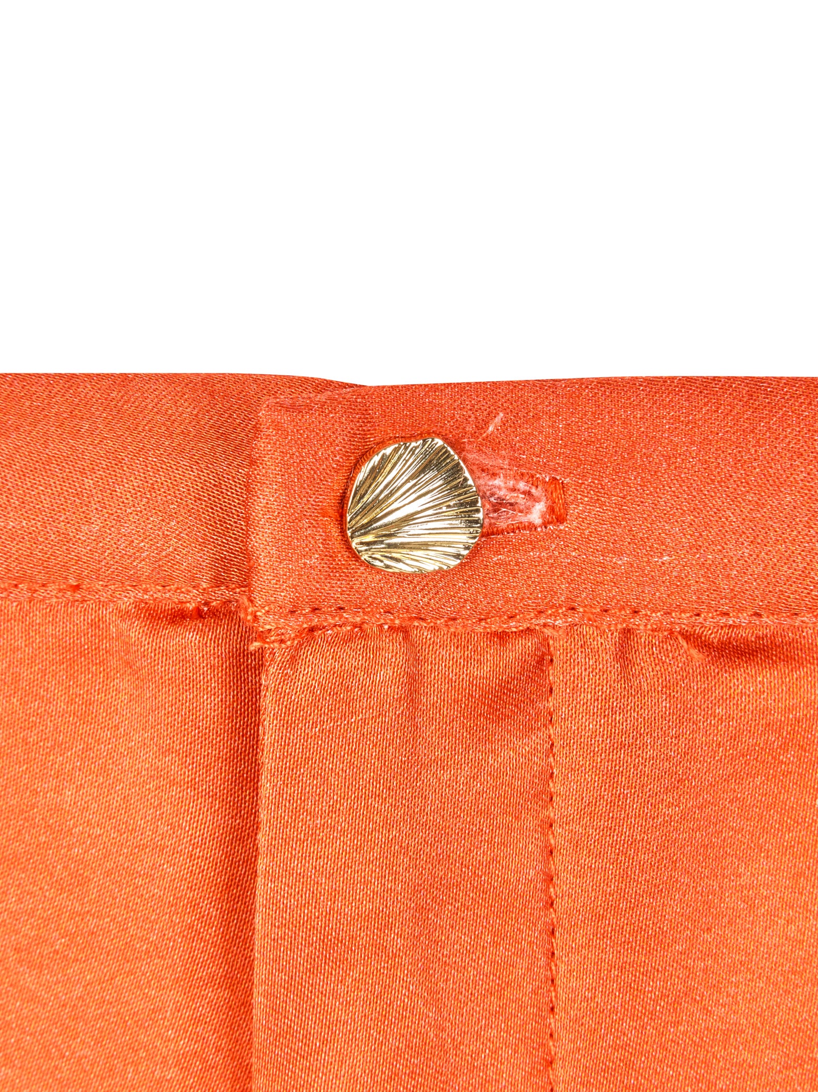 Immagine diapositiva