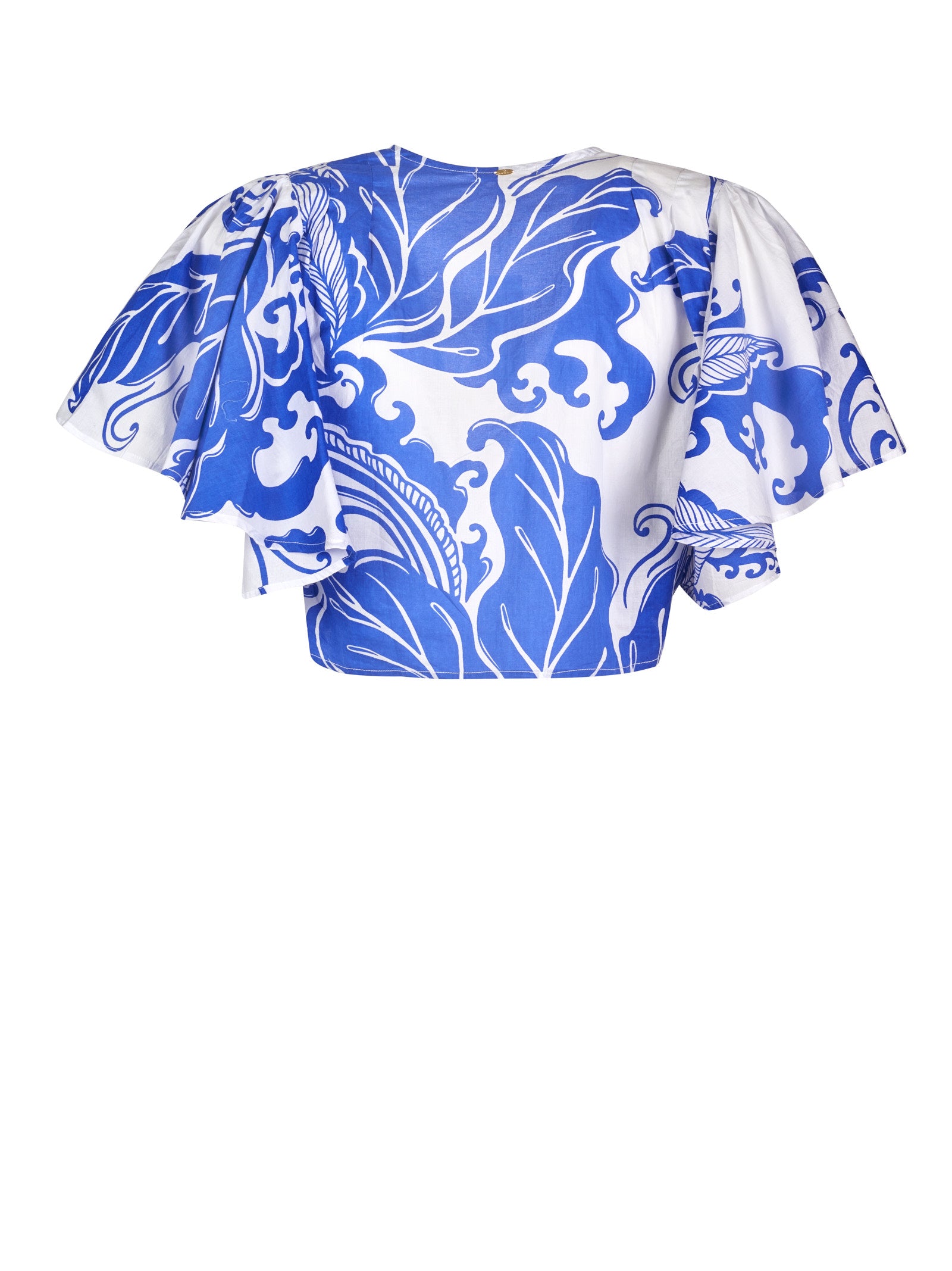 Immagine diapositiva