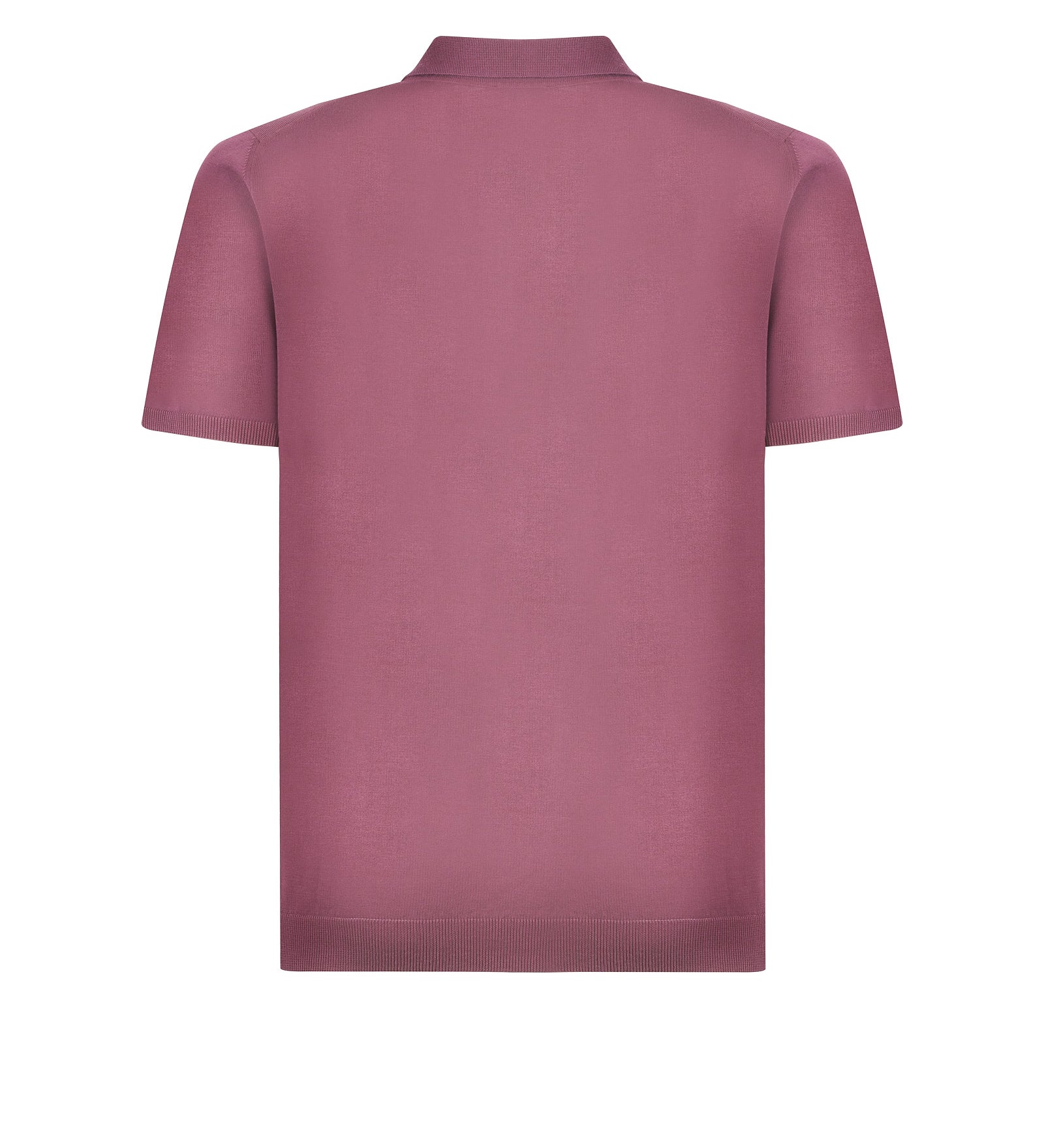 Polo ROBERTO COLLINA
Fico