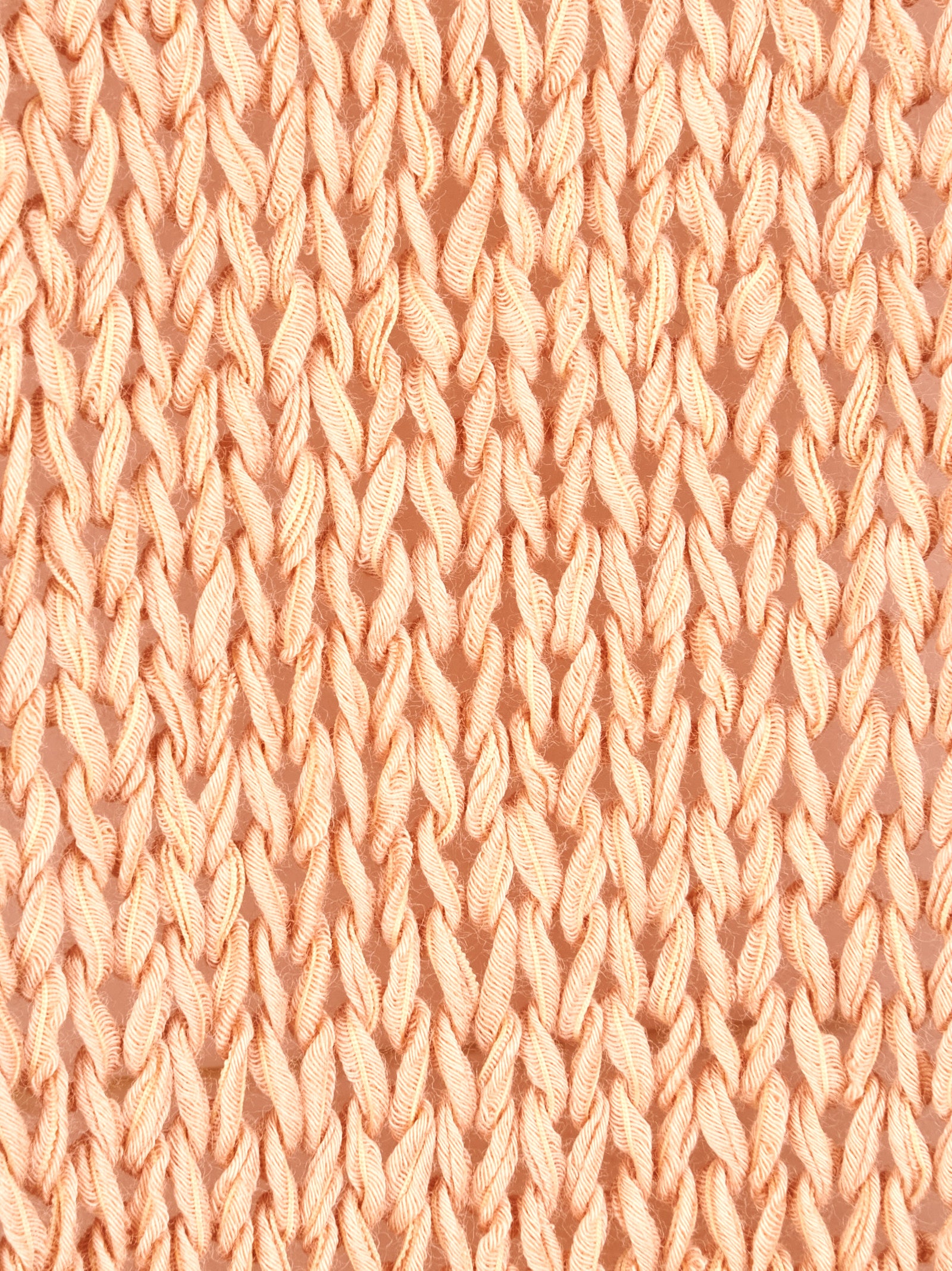 Immagine diapositiva