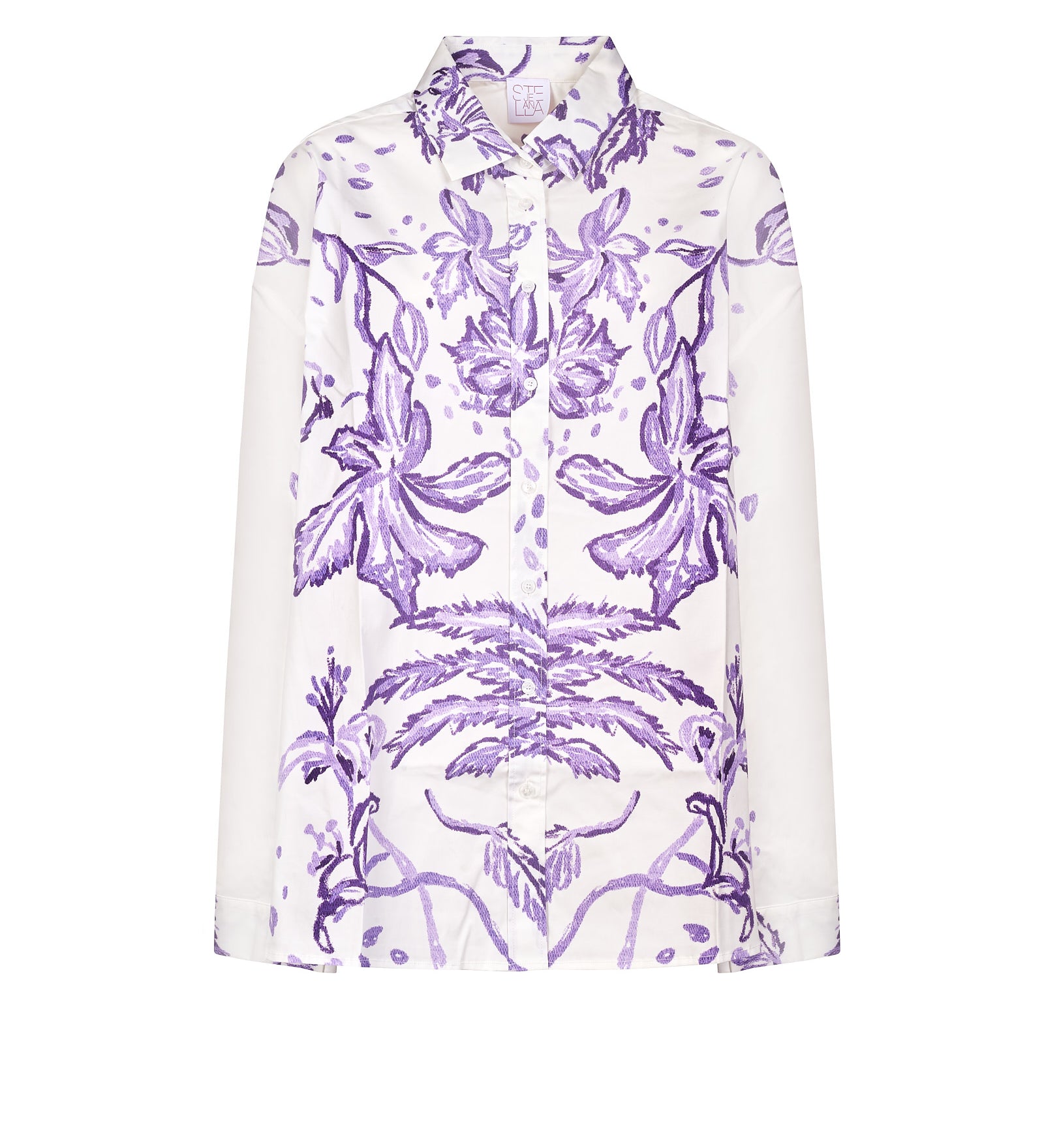 Immagine diapositiva