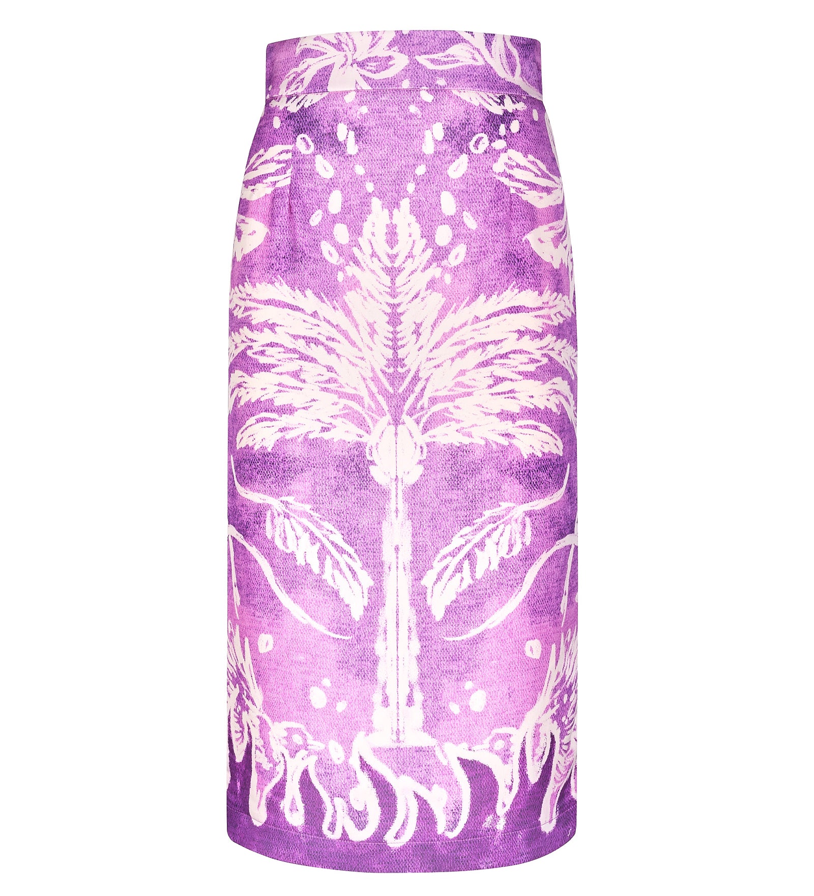 Immagine diapositiva