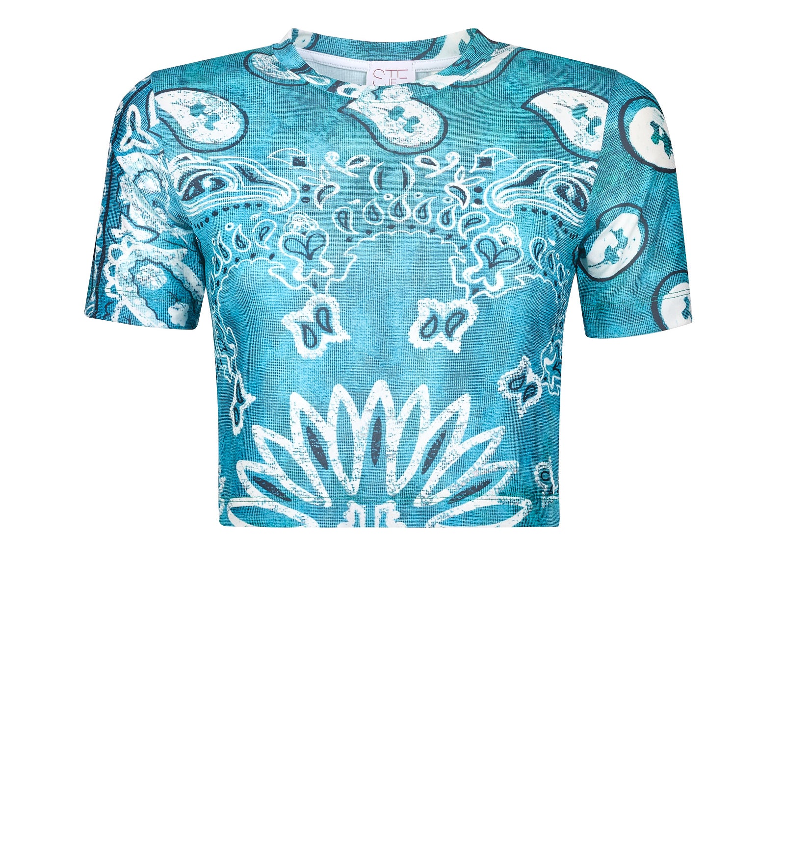 Immagine diapositiva