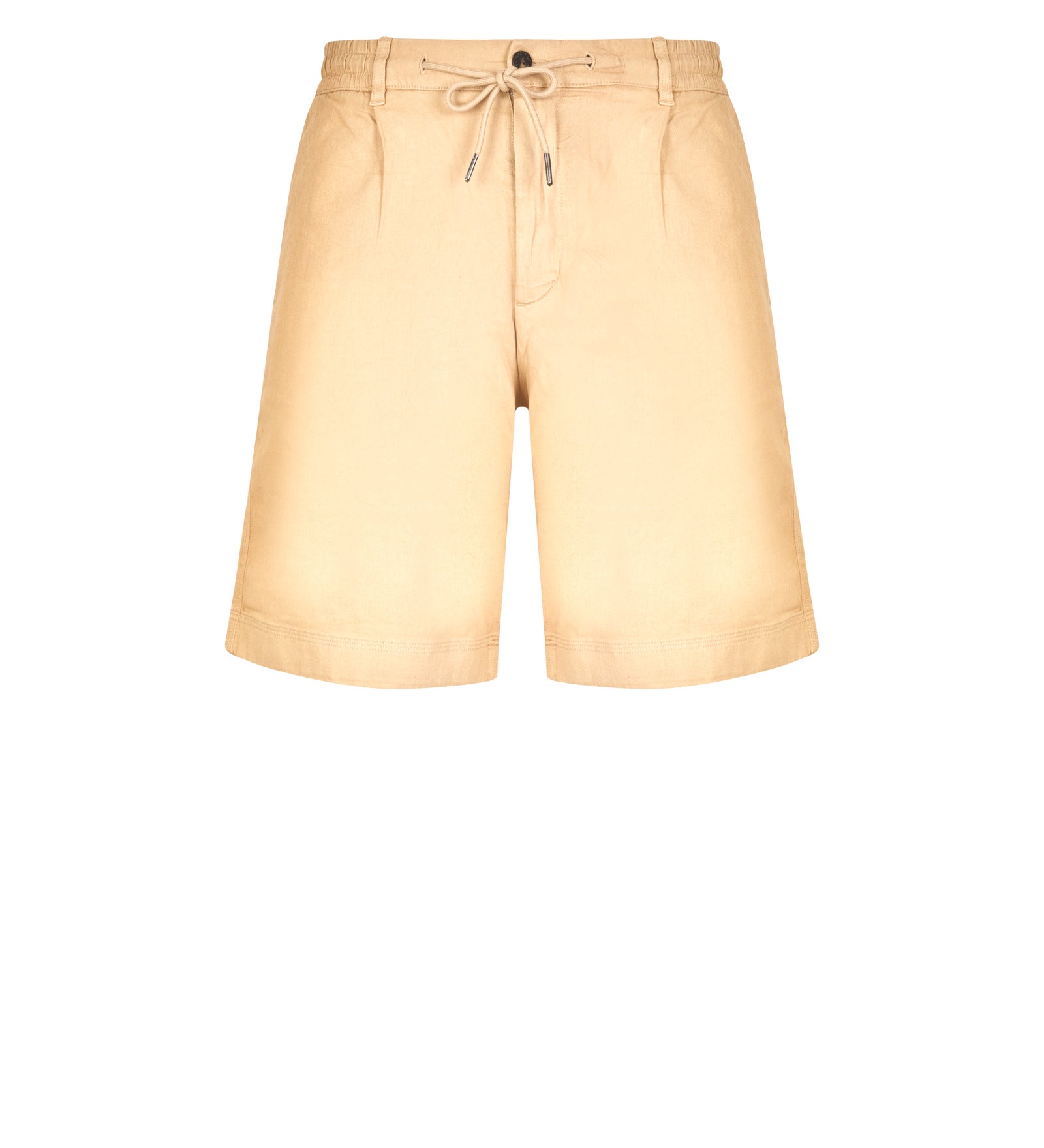 Immagine diapositiva