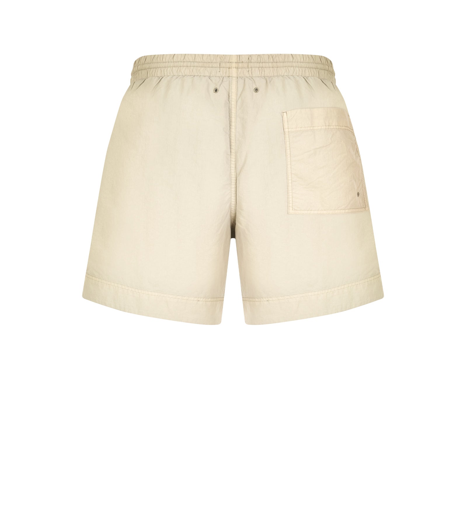 Boxer mare WOOLRICH
Olive