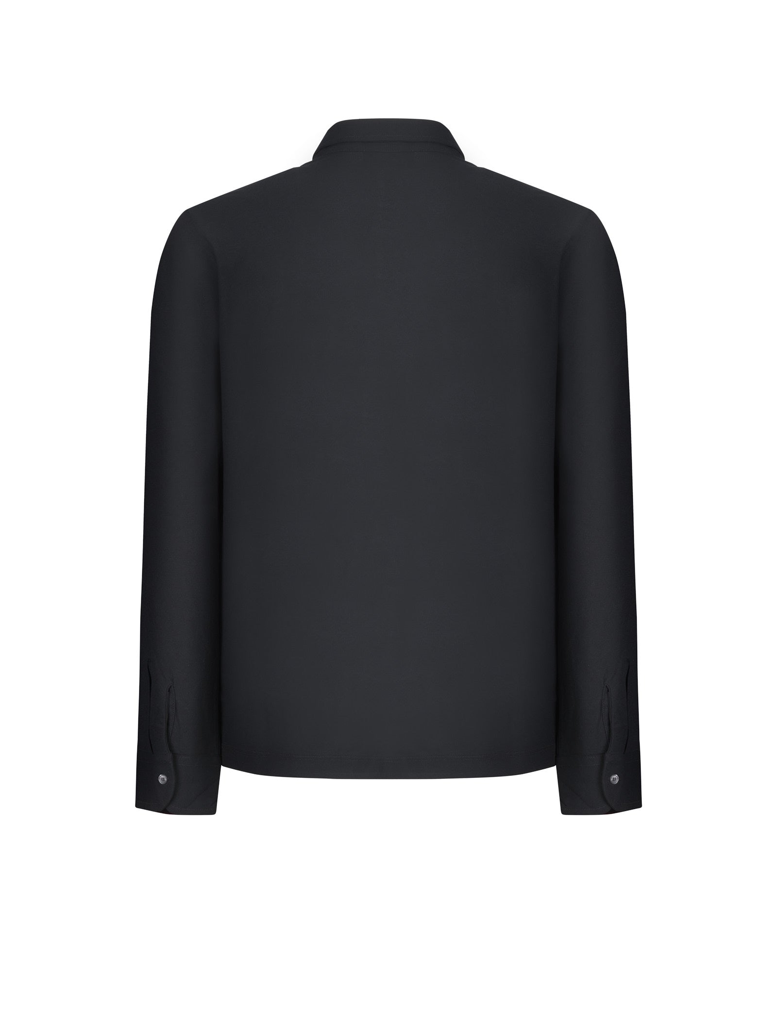 Immagine diapositiva