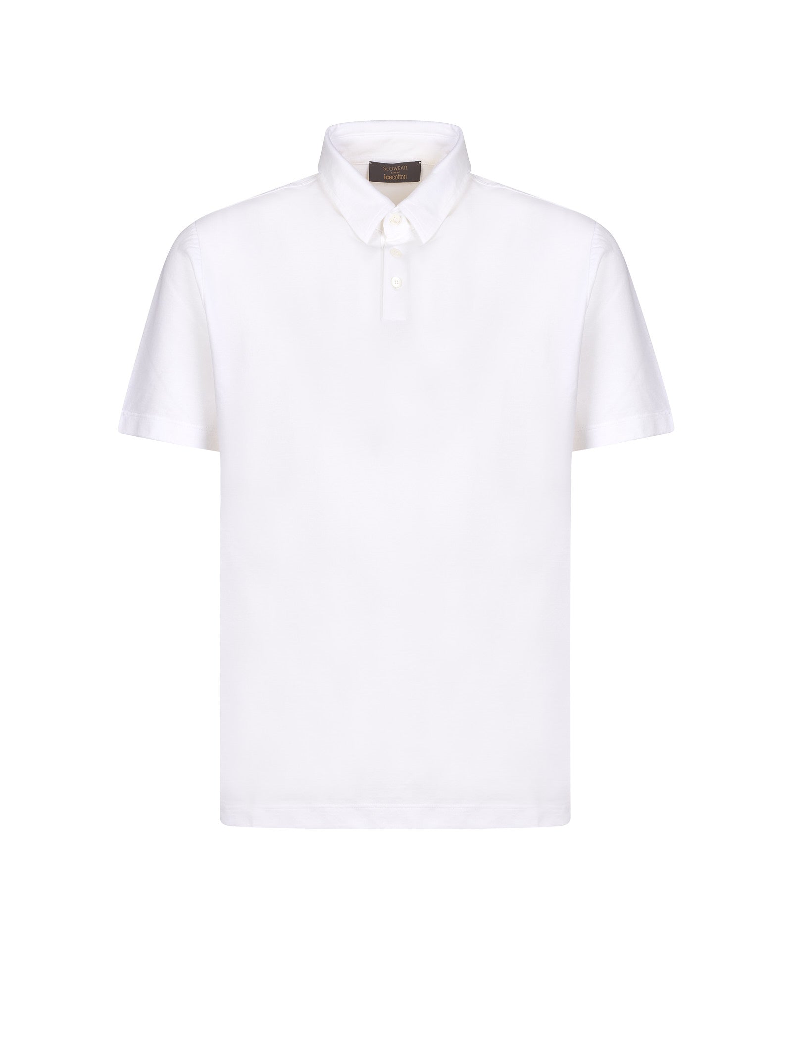 Immagine diapositiva