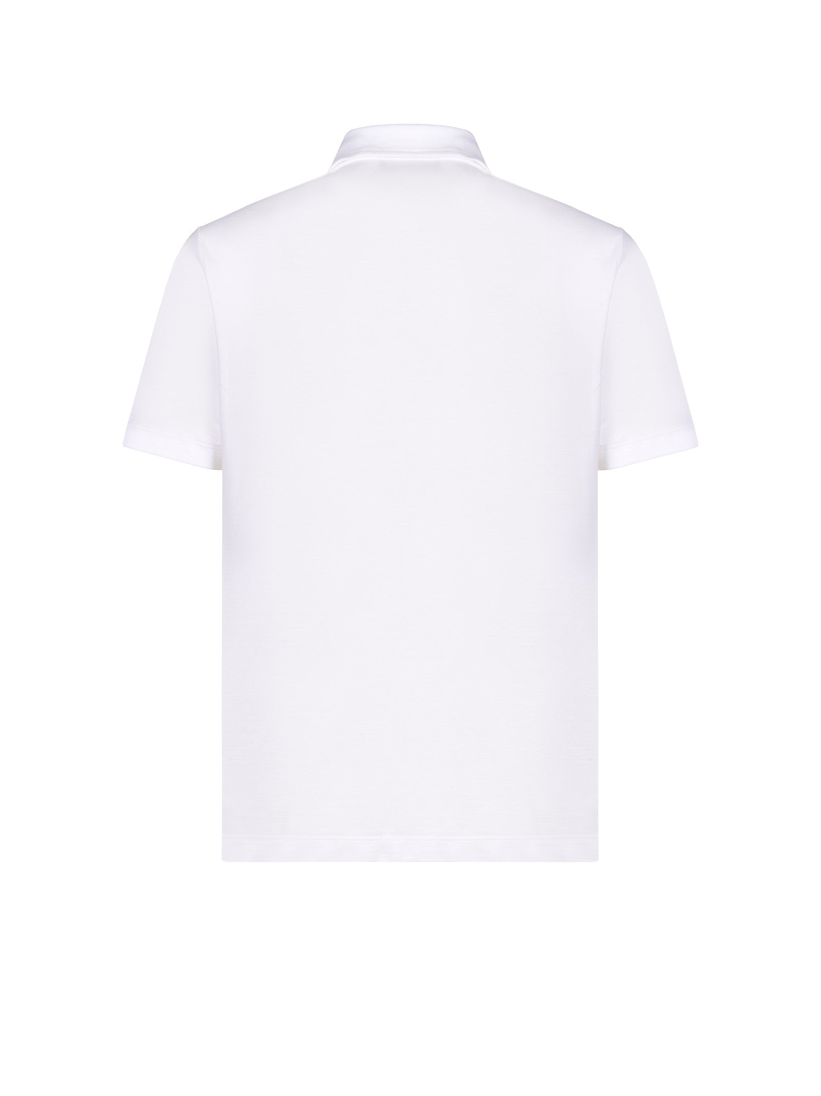 Immagine diapositiva