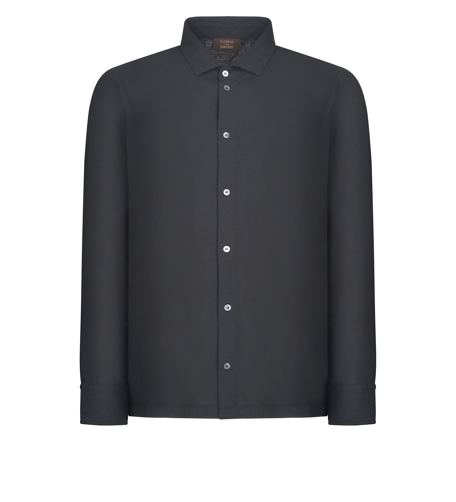 Immagine diapositiva