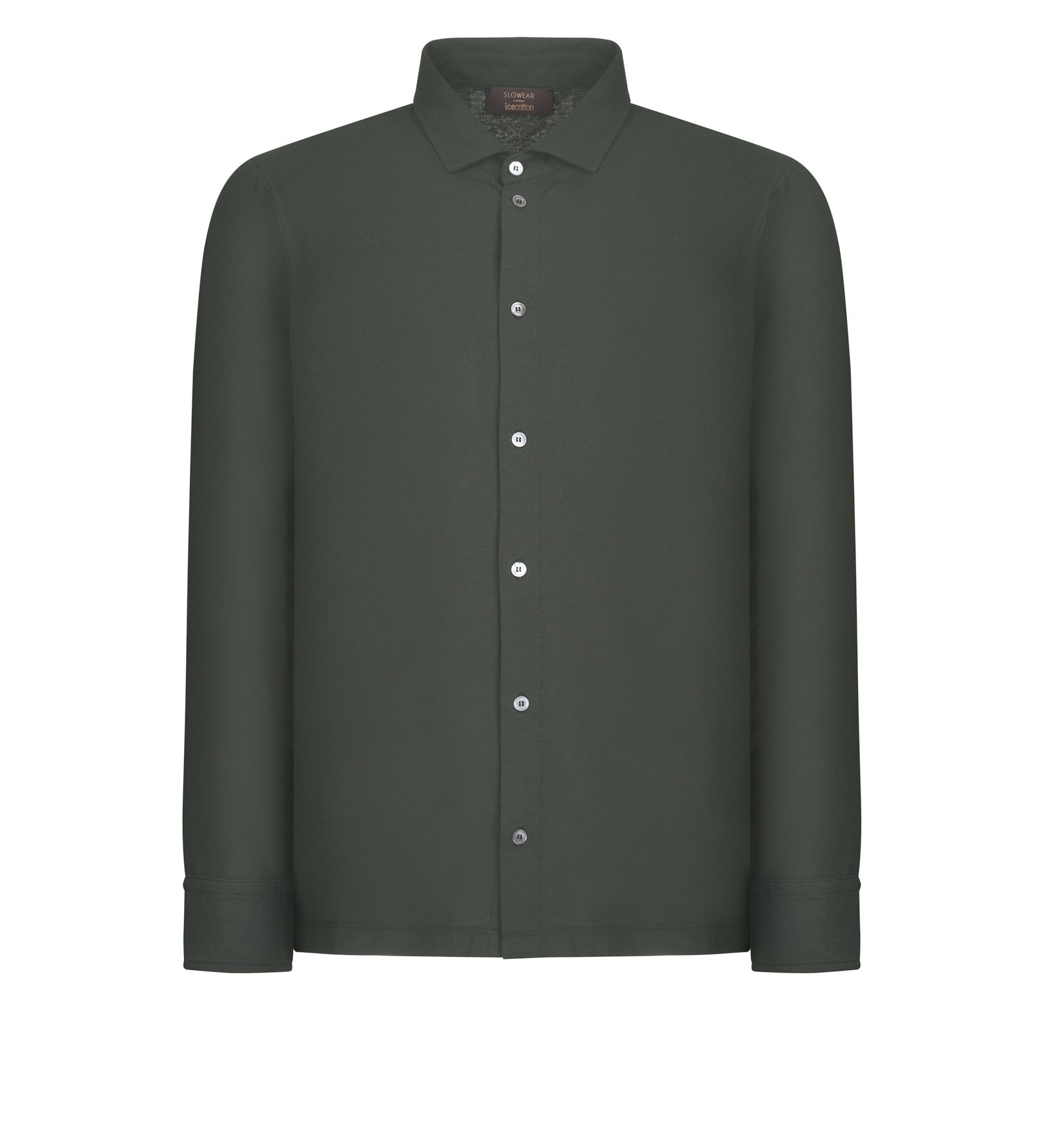 Immagine diapositiva