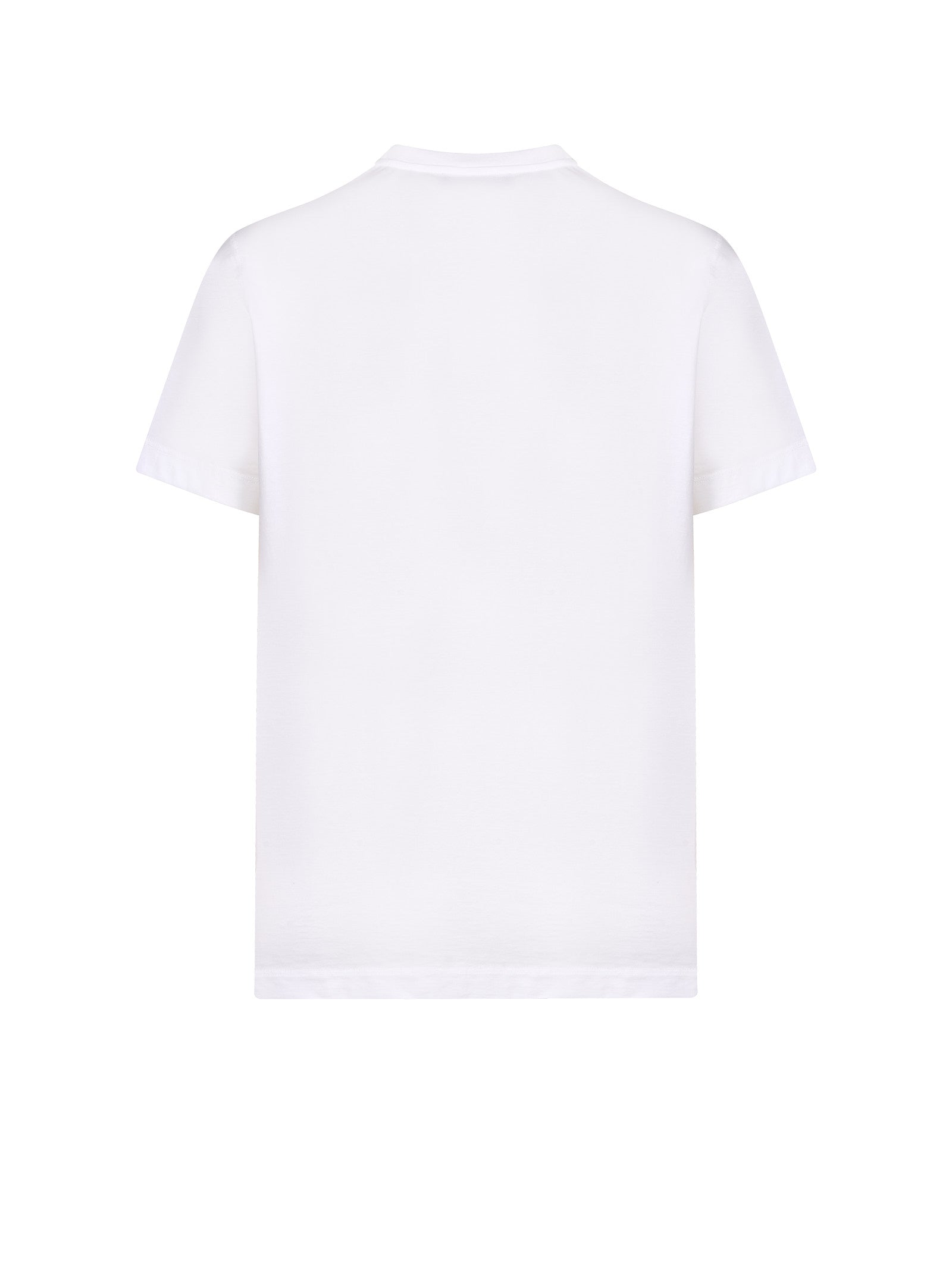 Immagine diapositiva