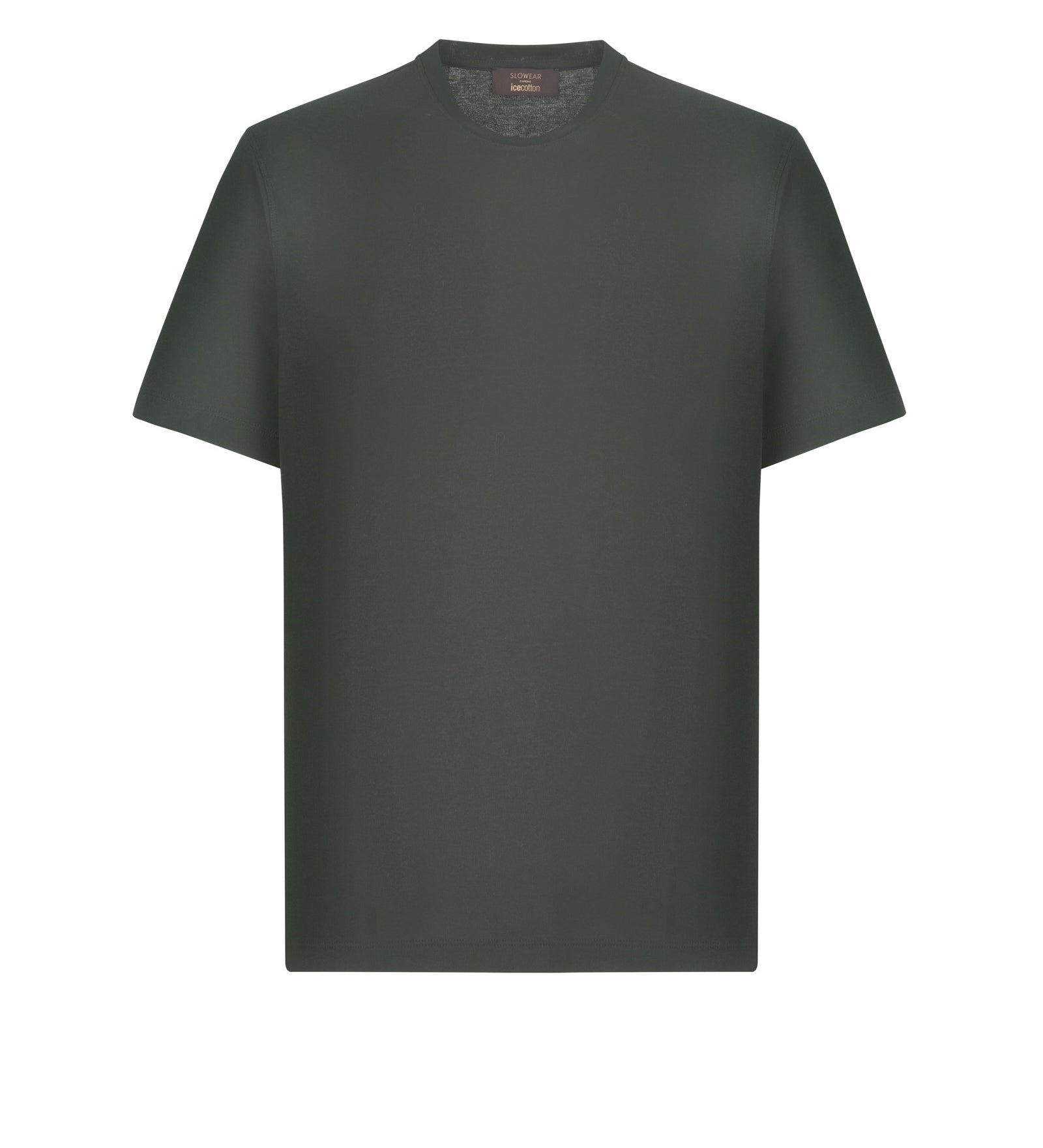 Immagine diapositiva