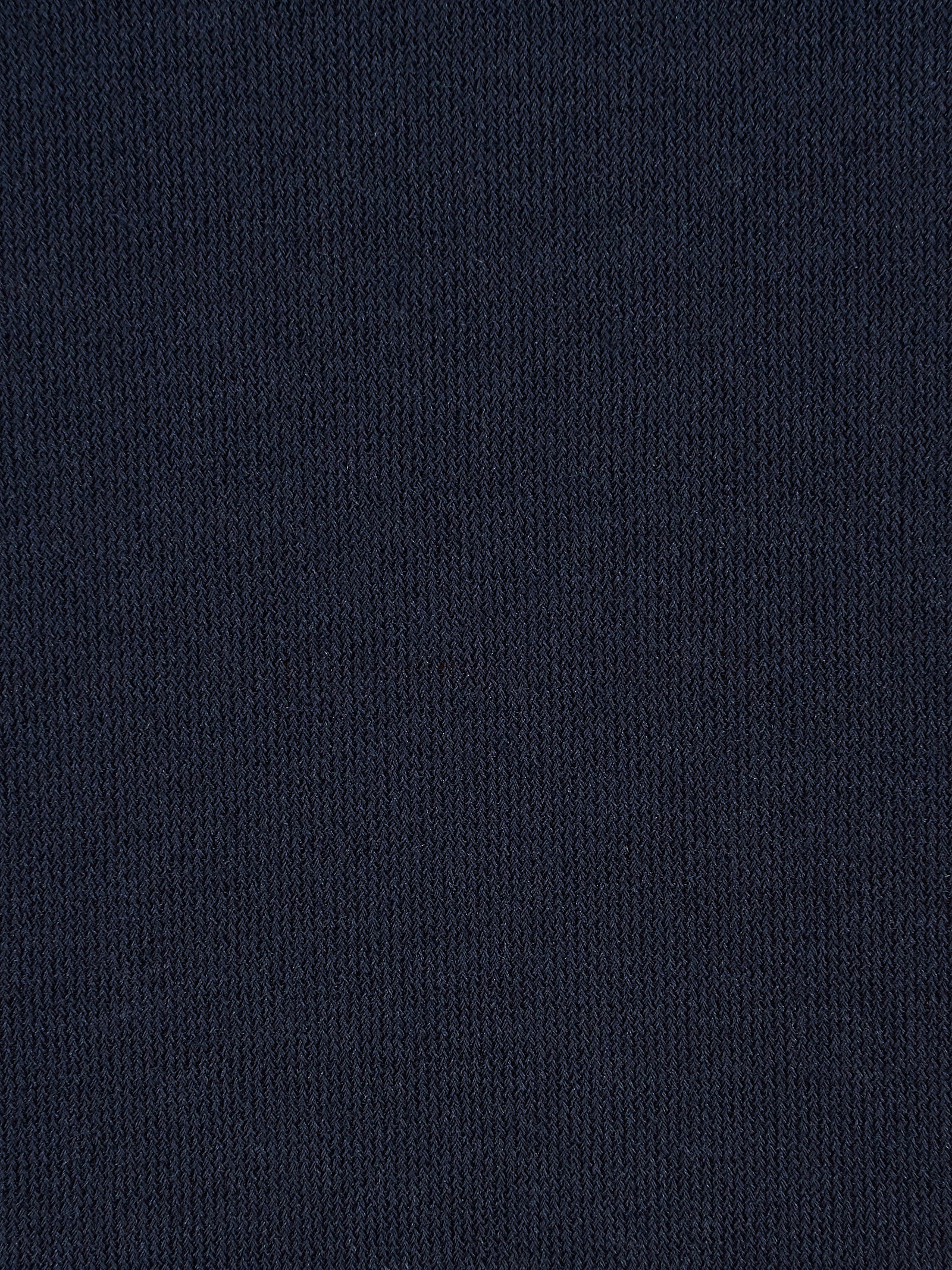 Immagine diapositiva