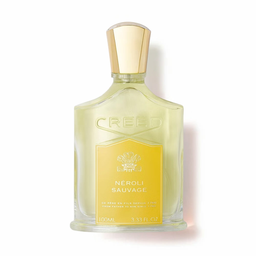 Immagine diapositiva