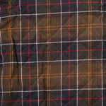 Immagine diapositiva