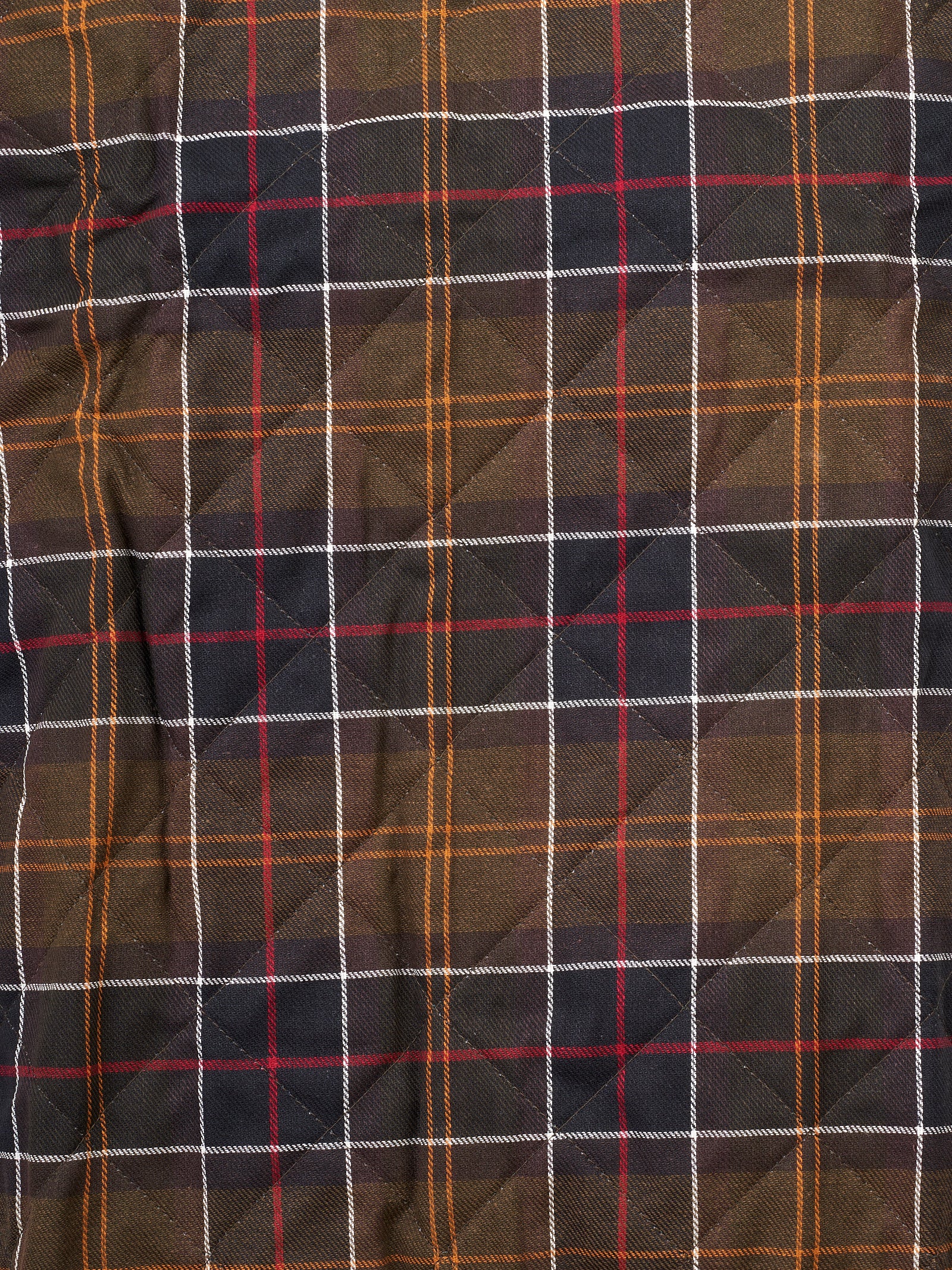 Immagine diapositiva