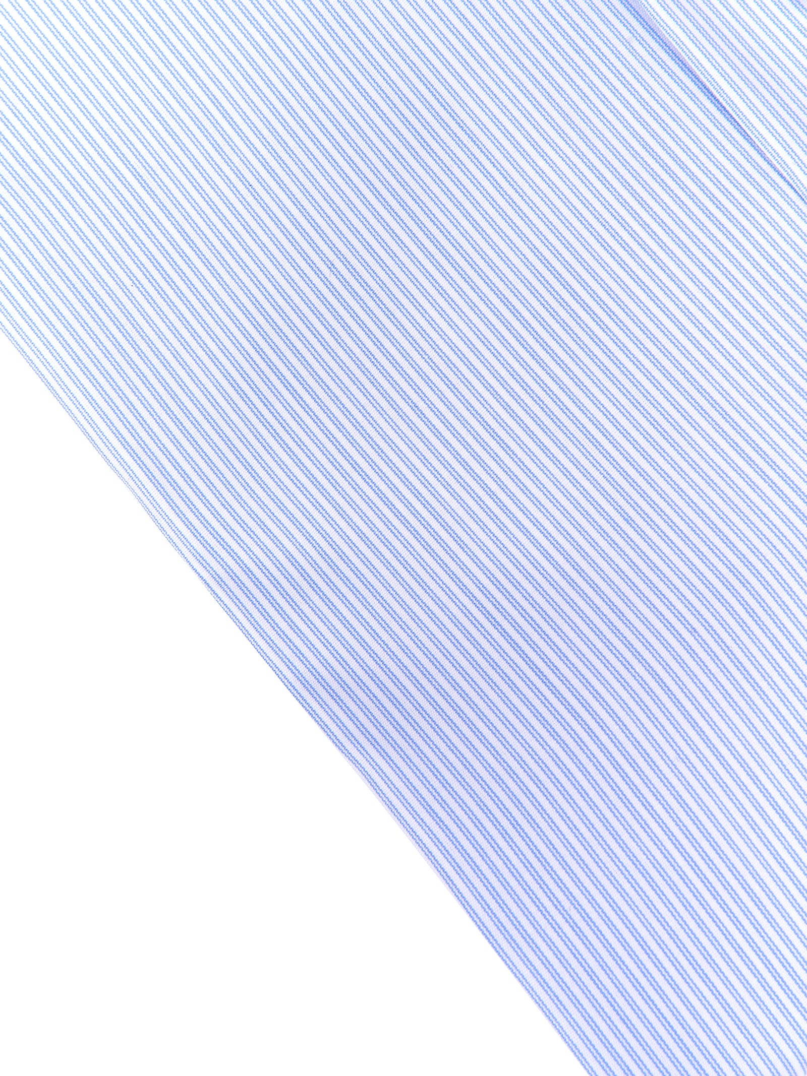 Immagine diapositiva