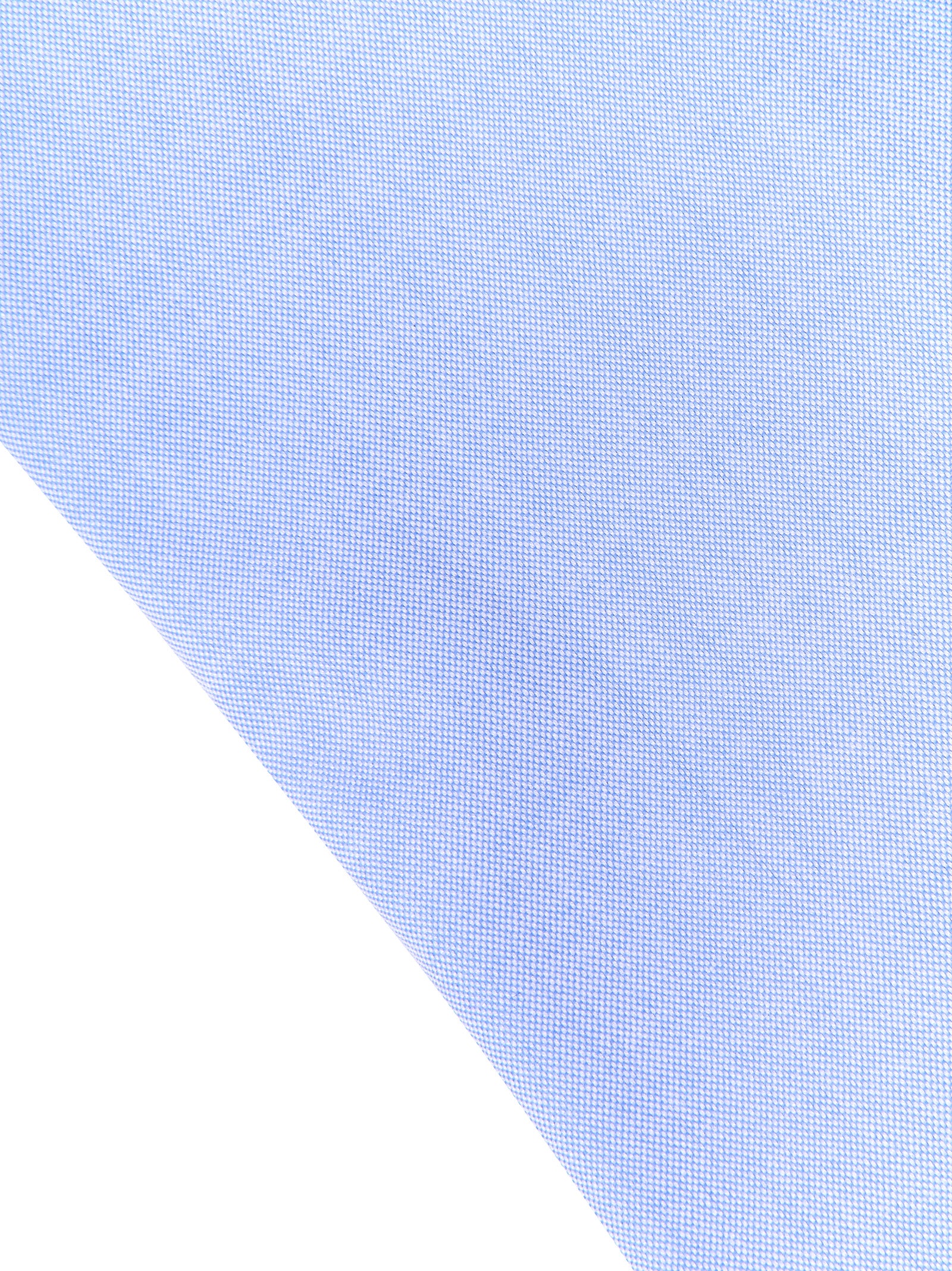 Immagine diapositiva