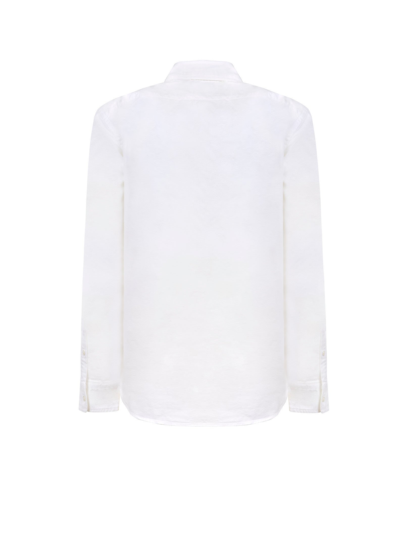 Immagine diapositiva