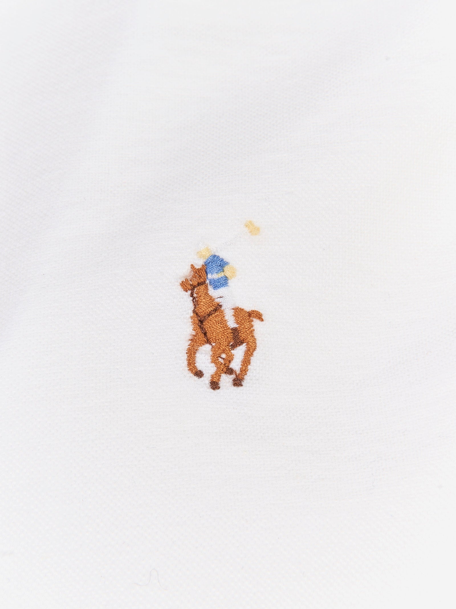 Immagine diapositiva