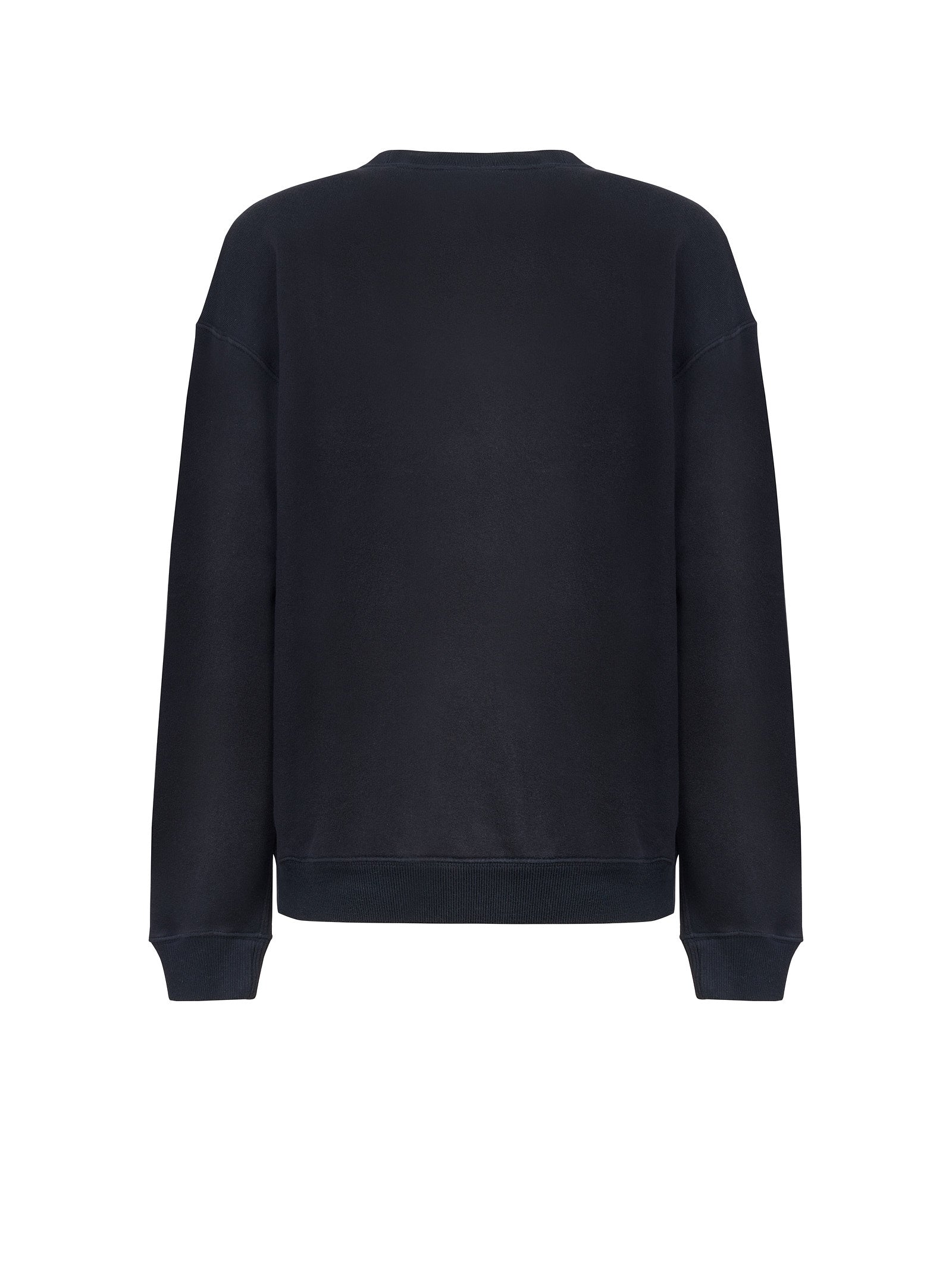 Immagine diapositiva