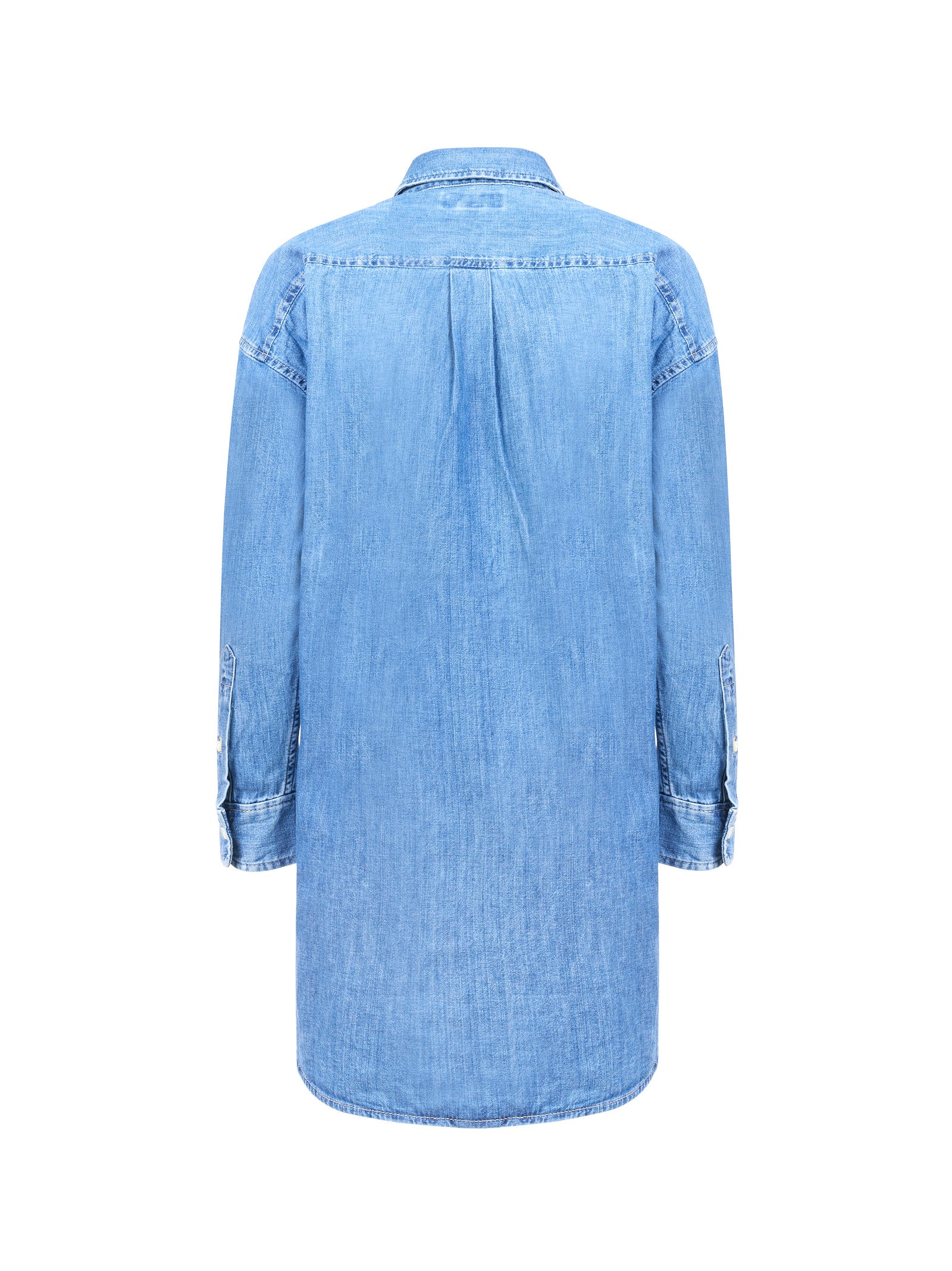 Immagine diapositiva