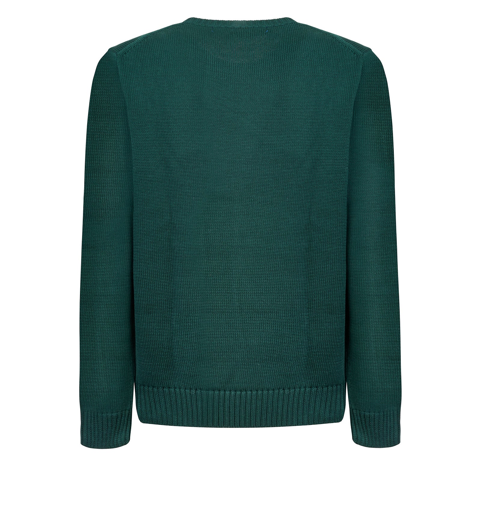 Felpa POLO RALPH LAUREN
Verde