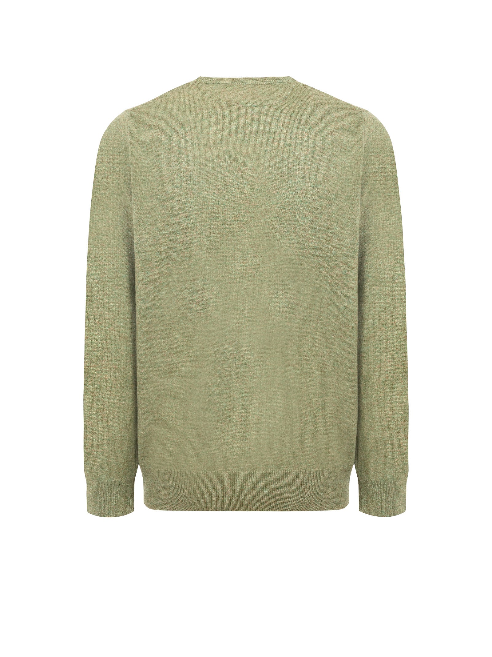 Immagine diapositiva