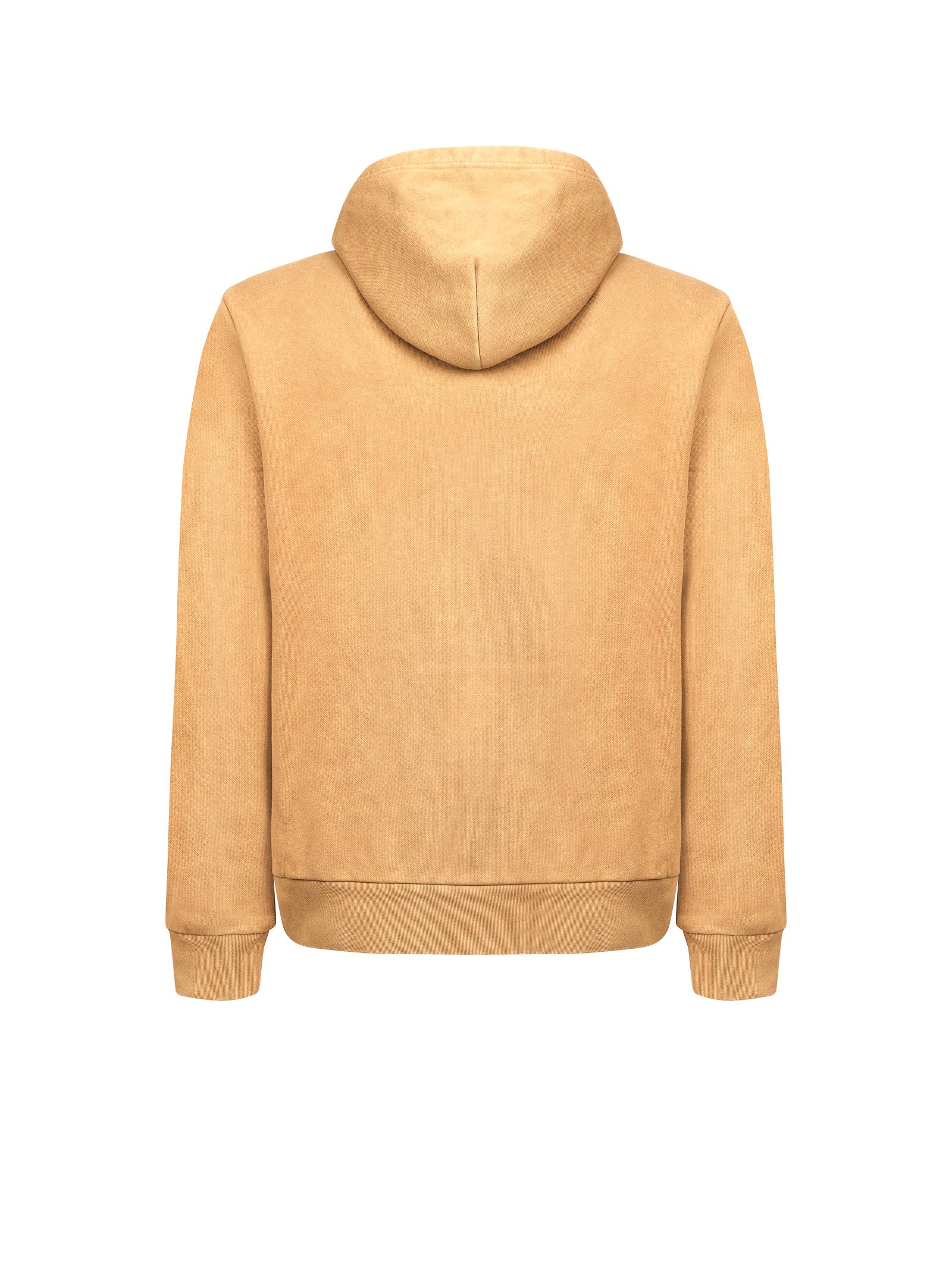 Immagine diapositiva