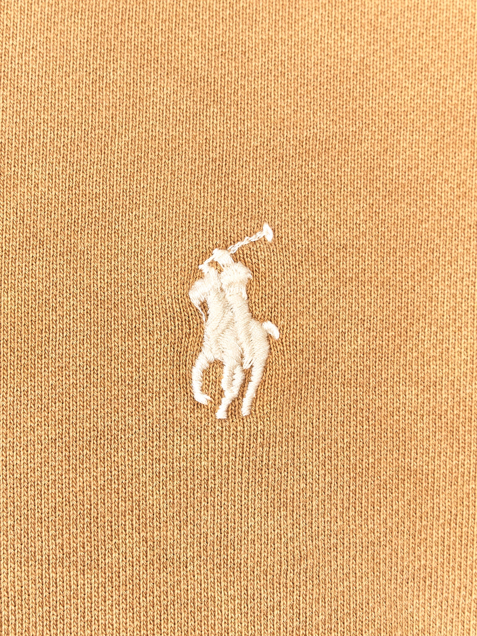 Immagine diapositiva