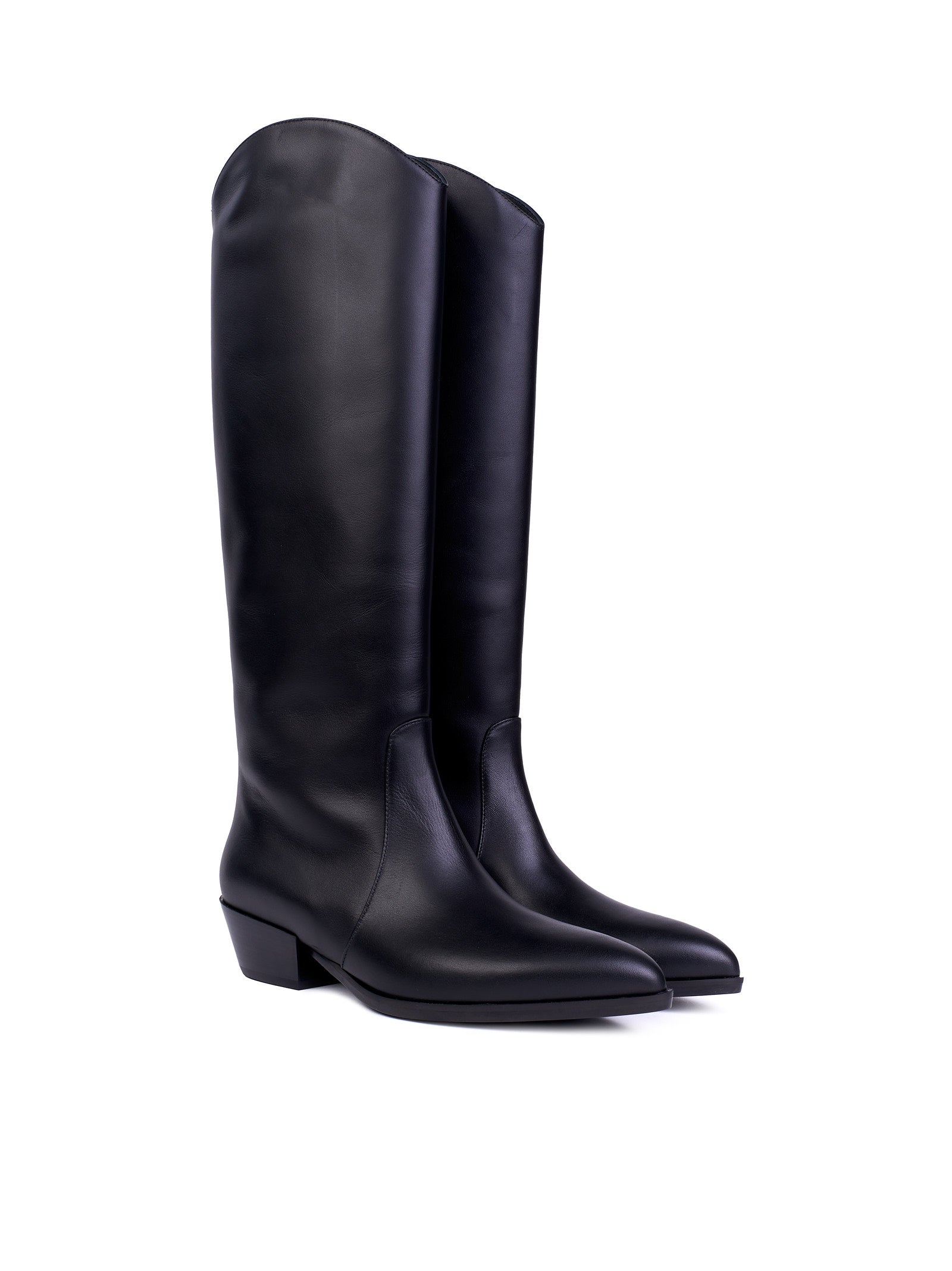 Immagine diapositiva