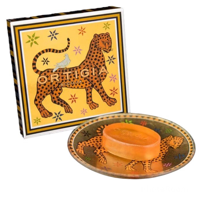 Immagine diapositiva