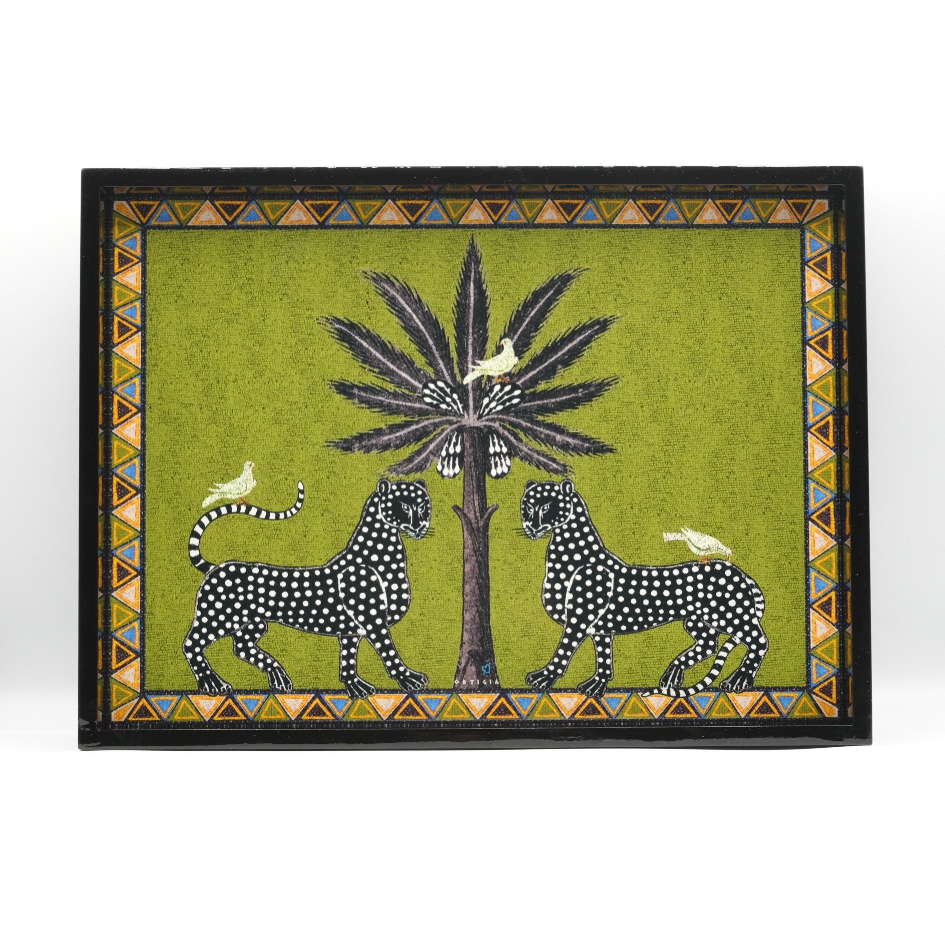 Immagine diapositiva