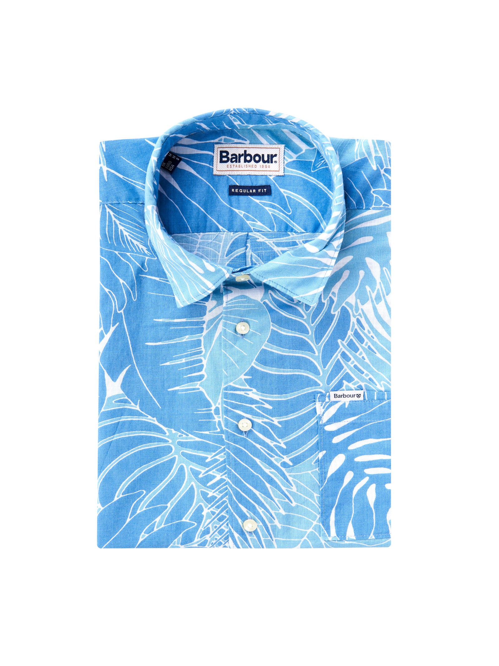 Immagine diapositiva