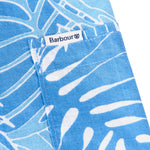 Immagine diapositiva