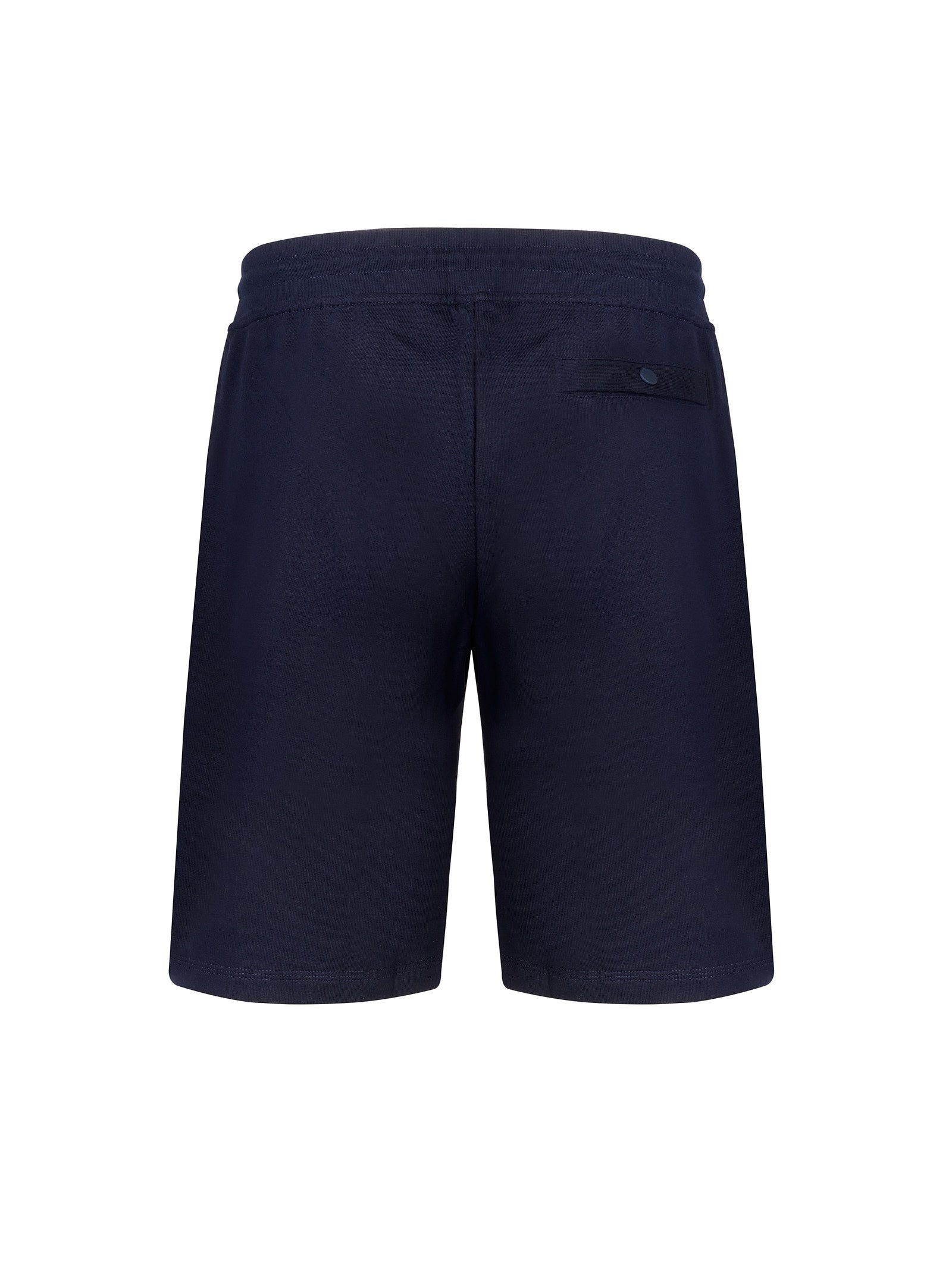 Immagine diapositiva