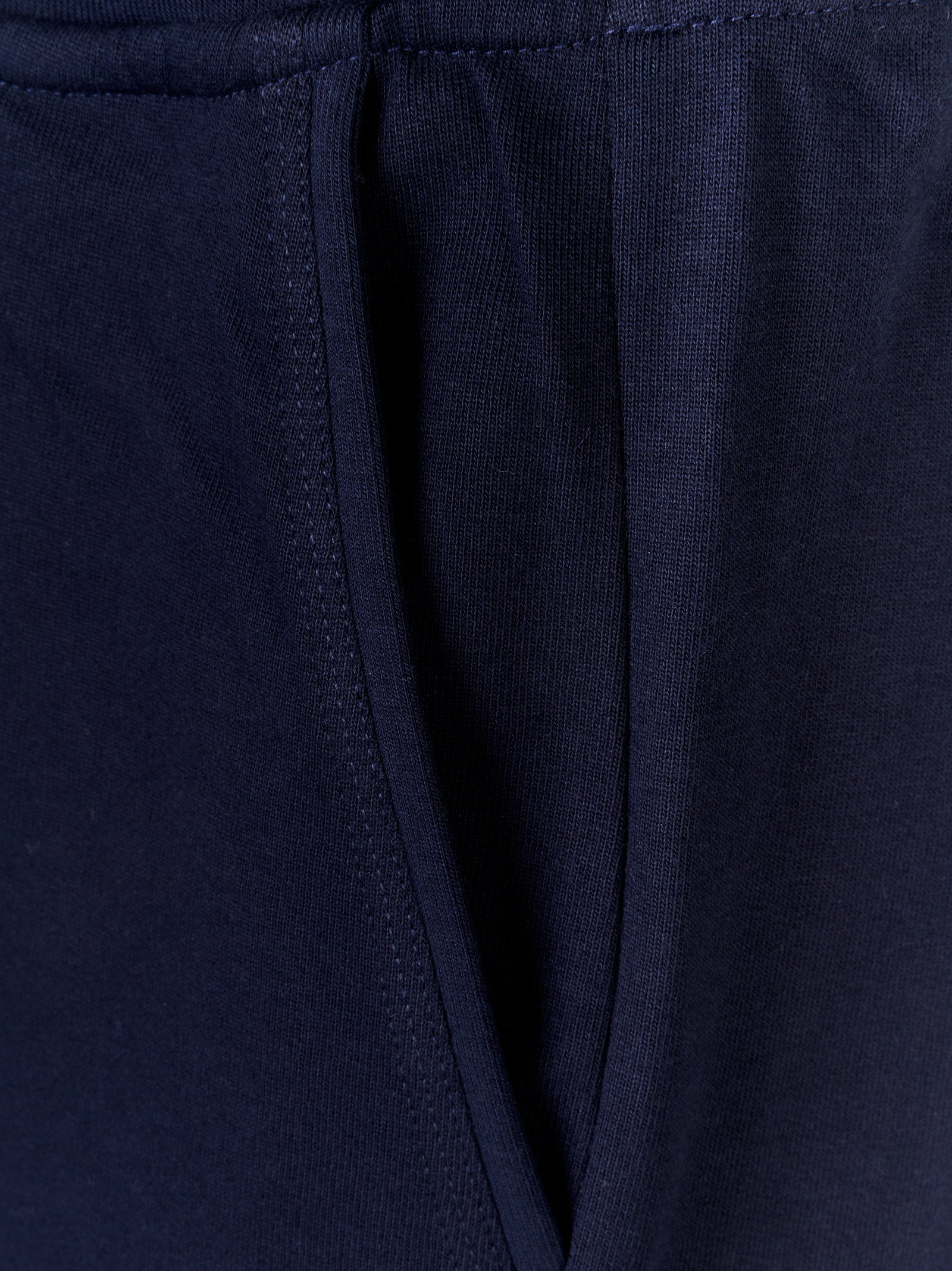 Immagine diapositiva