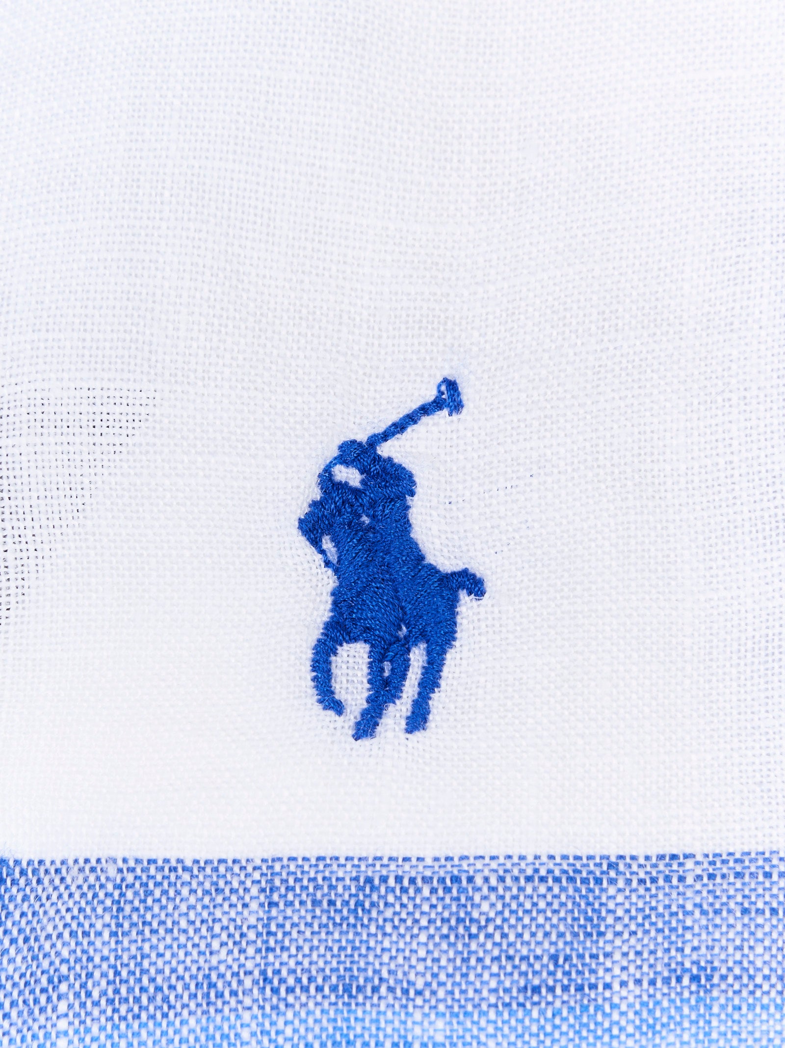 Immagine diapositiva