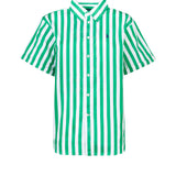 Camicia POLO RALPH LAUREN
Green/white