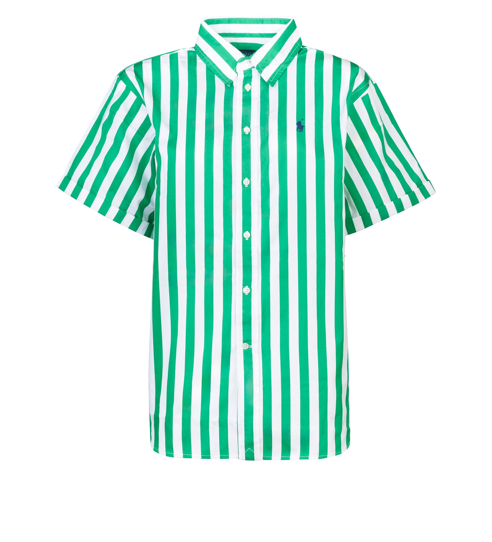 Immagine diapositiva