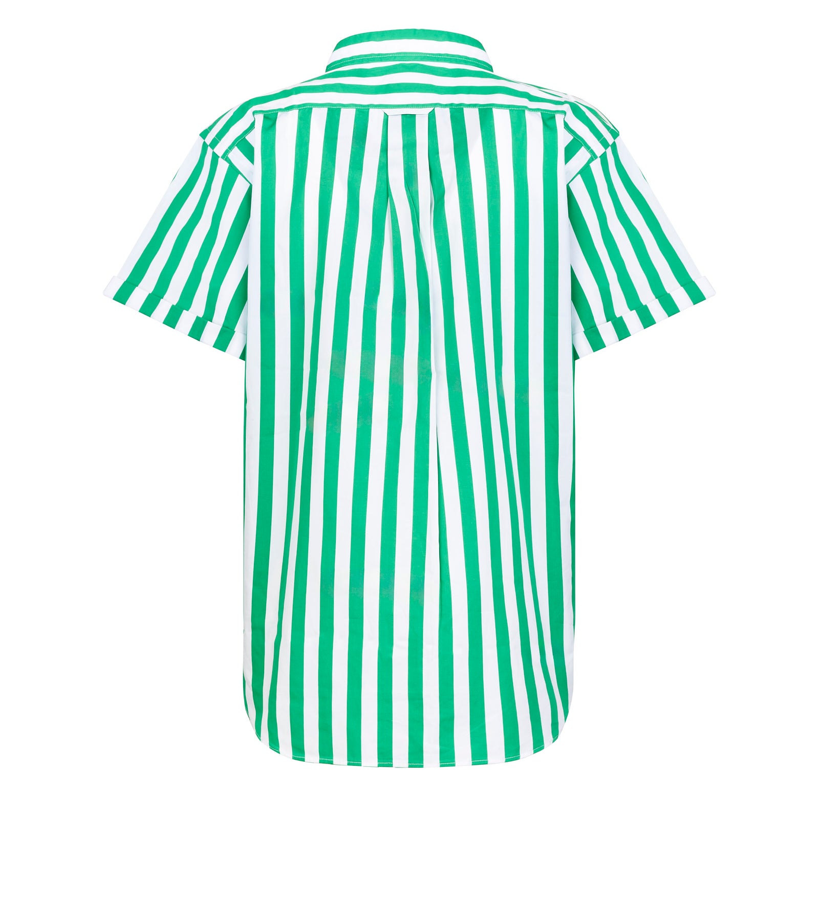 Camicia POLO RALPH LAUREN
Green/white